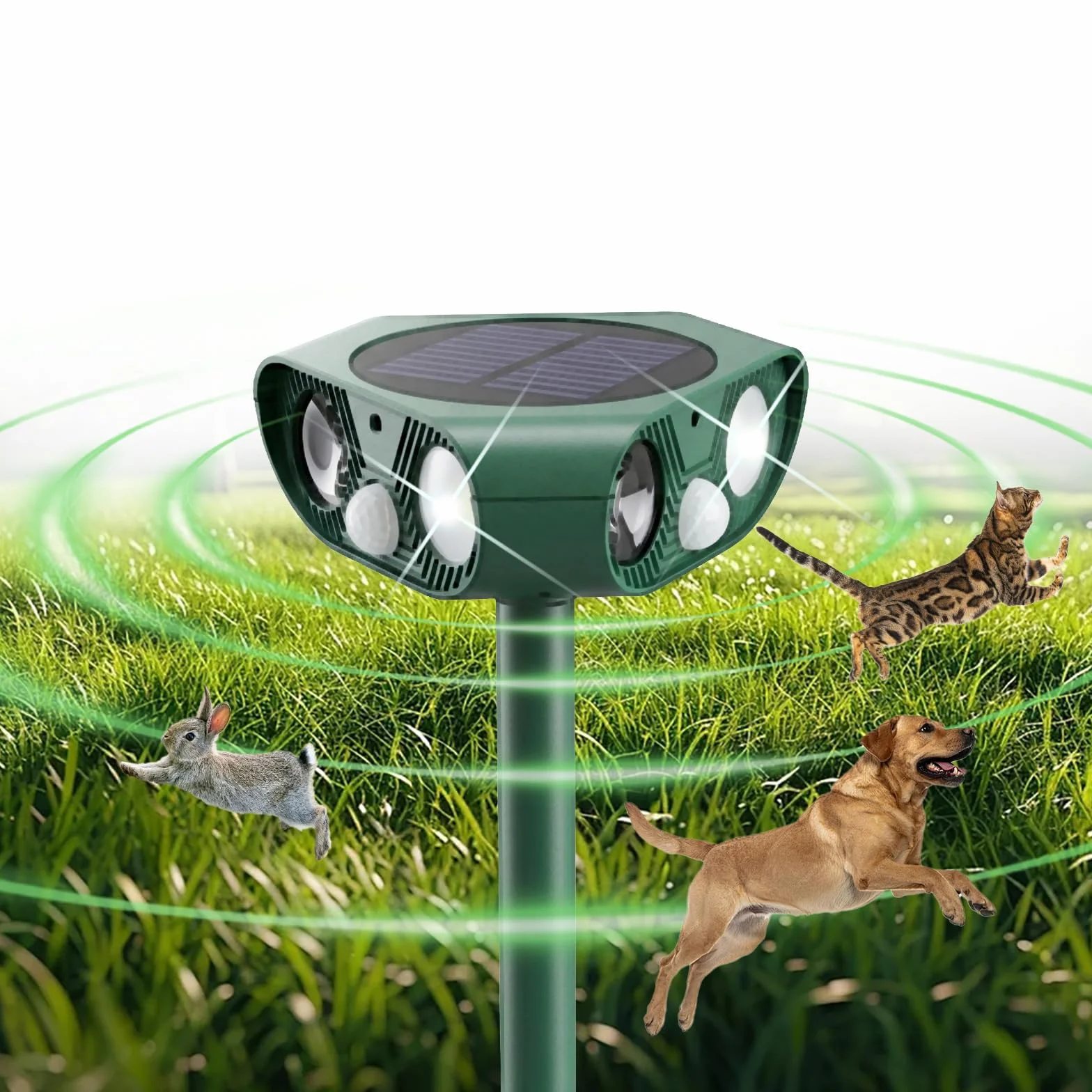 Repulsif Chat Exterieur 360° Ultrason IP65 Imperméable avec Flash LED Détecteur PIR Anti Chat Chiens