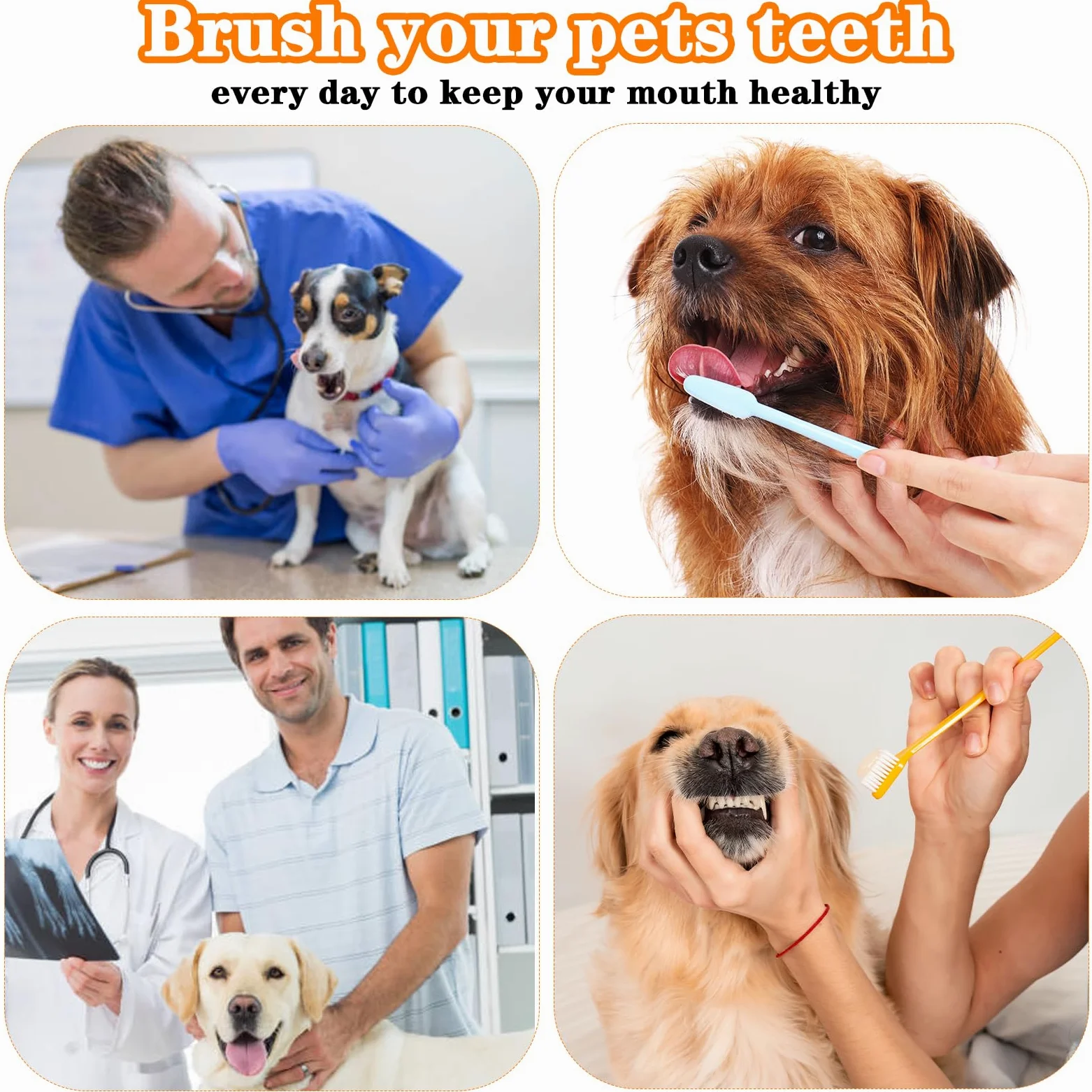 Lot de 300 brosses à dents en plastique à double tête pour chiens et chats de grande taille - 10 couleurs +