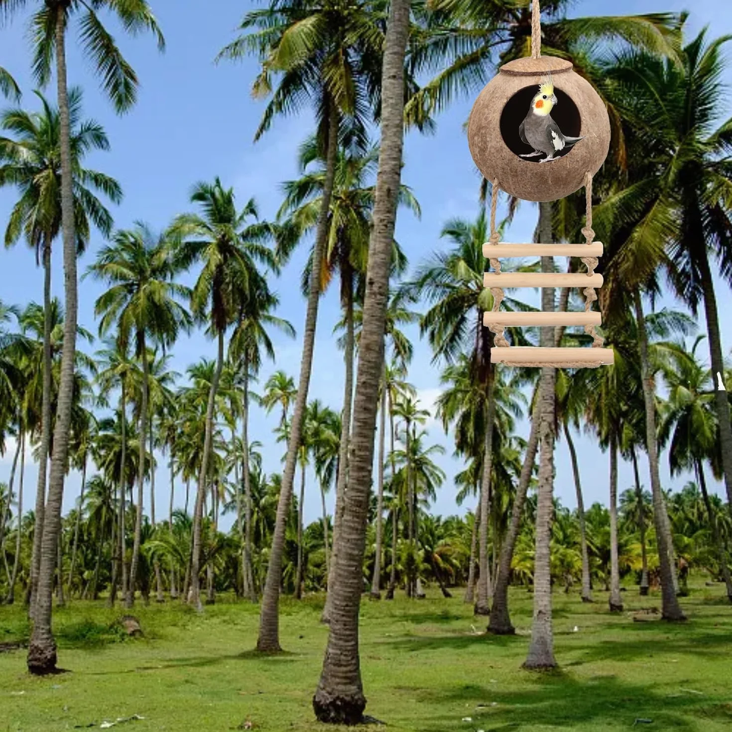 MEISH Coco Husk Cabane pour reptiles avec échelle et cachette