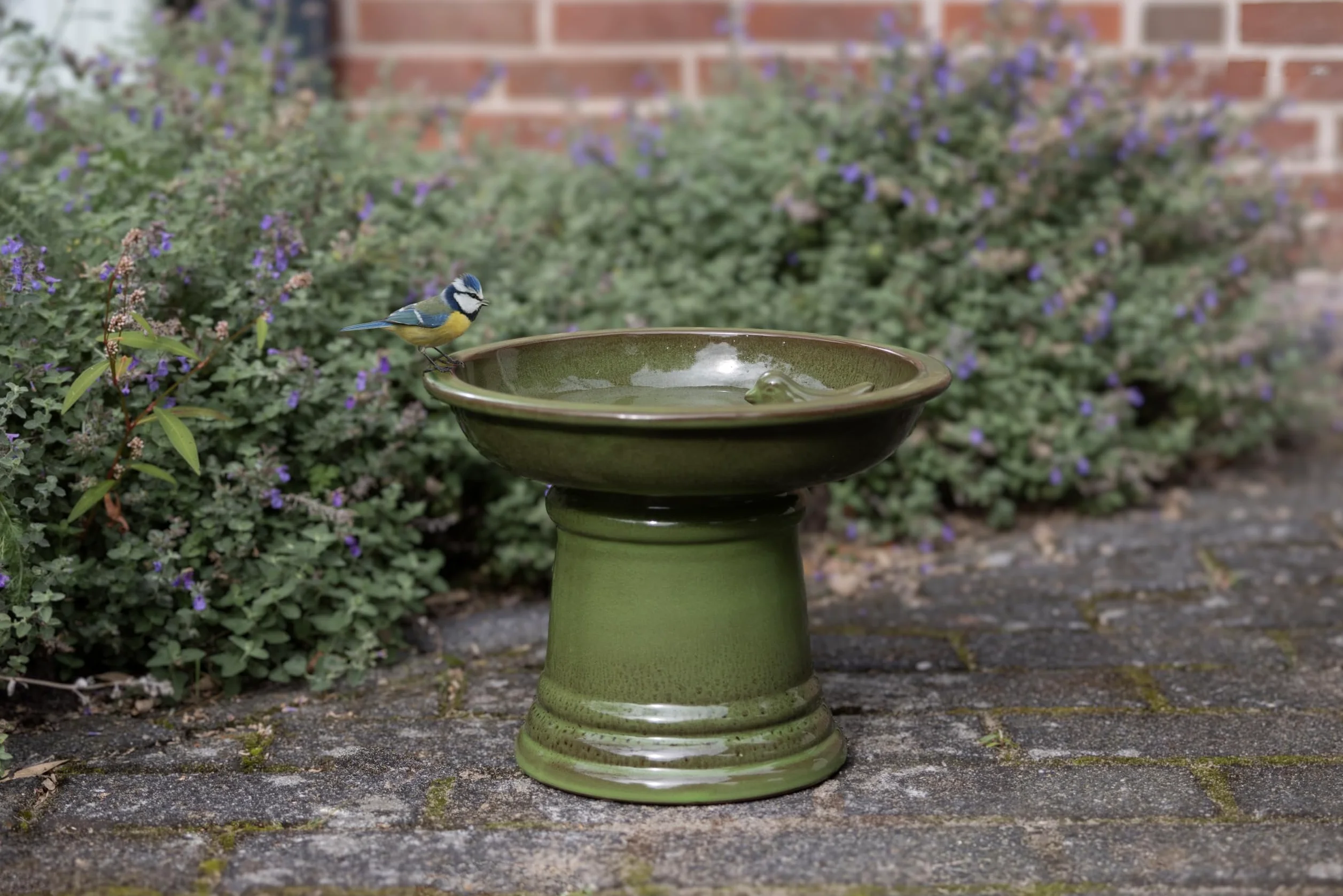 Petit Bain d'oiseau en céramique sur Pied Vert