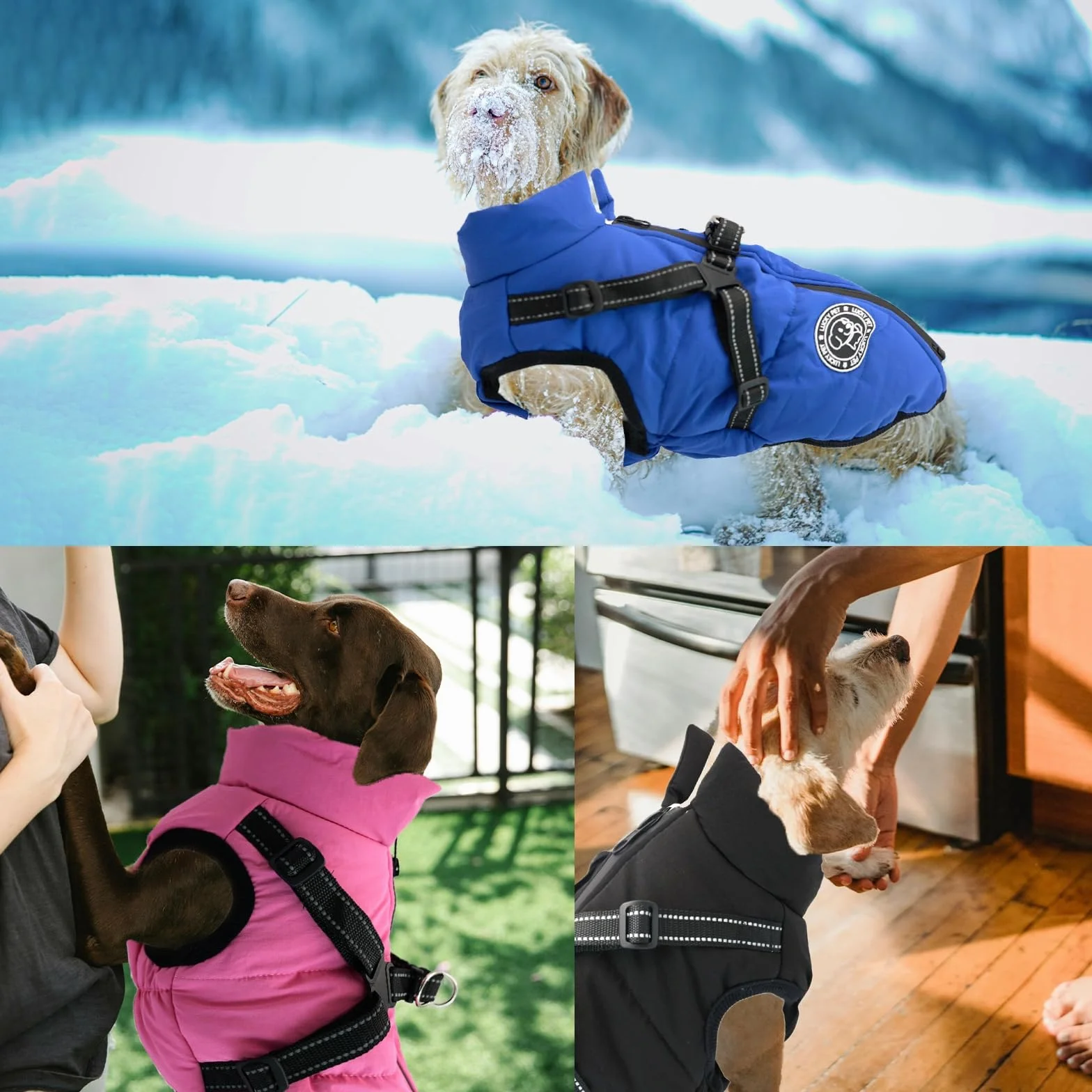 Manteau Imperméable pour Chien avec Harnais - Veste d'Hiver Chaude, Gilet pour Petits et Moyens Chiens