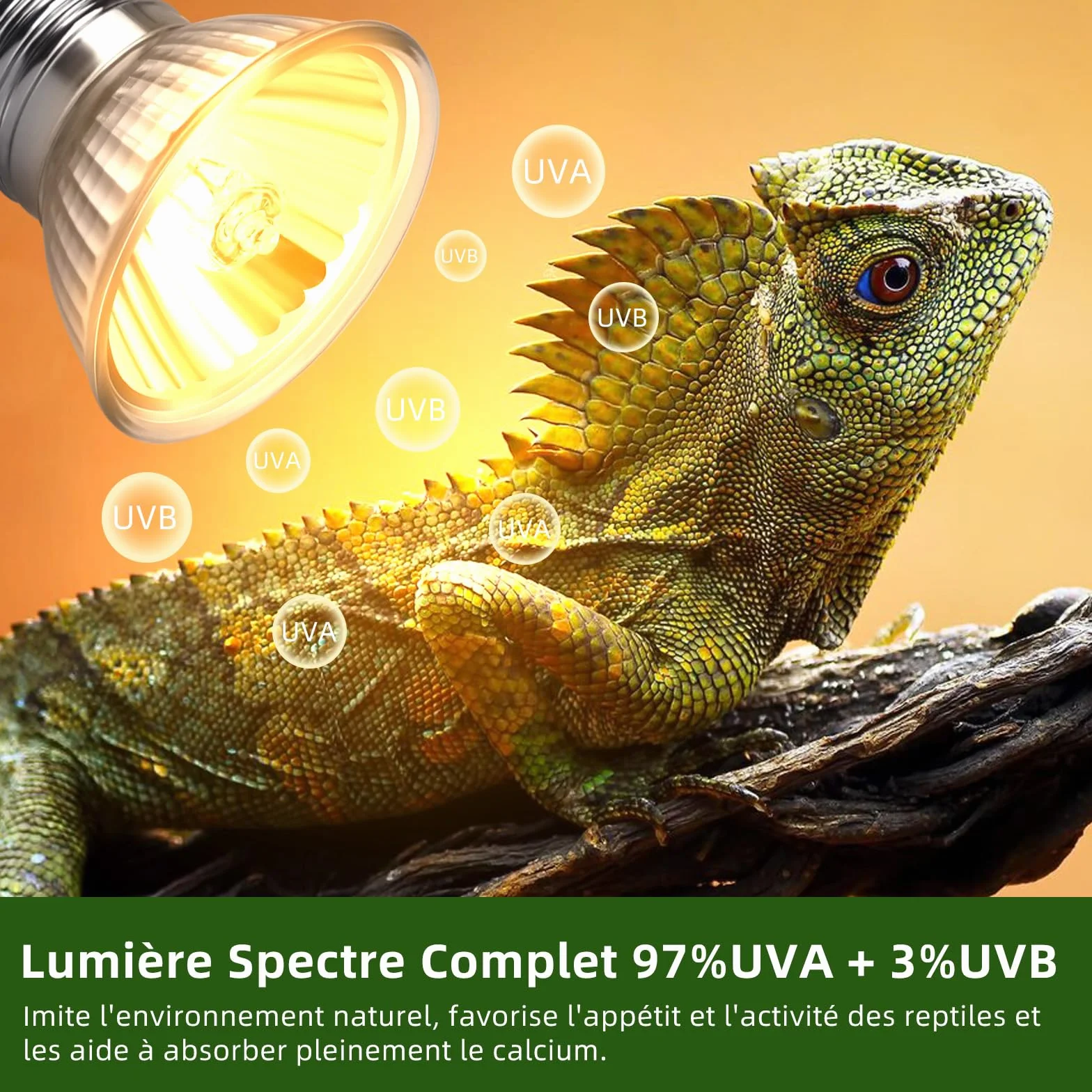 Lampe Chauffante UVA UVB pour Tortue E27 75W Dimmable AC 220V 2700K Lot de 4