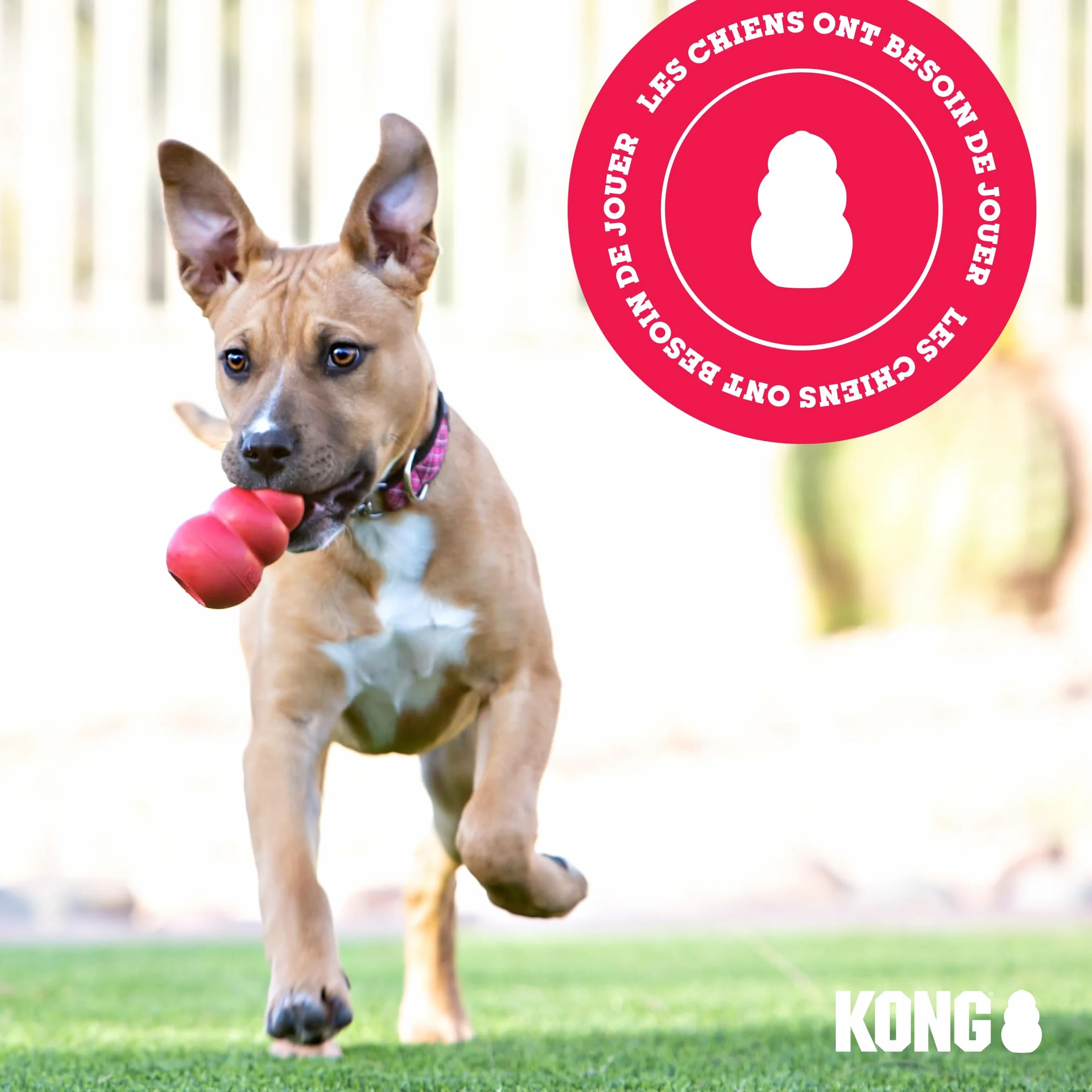 KONG Goodie Bone Os Classique en Caoutchouc Naturel Durable pour Chien - Rouge