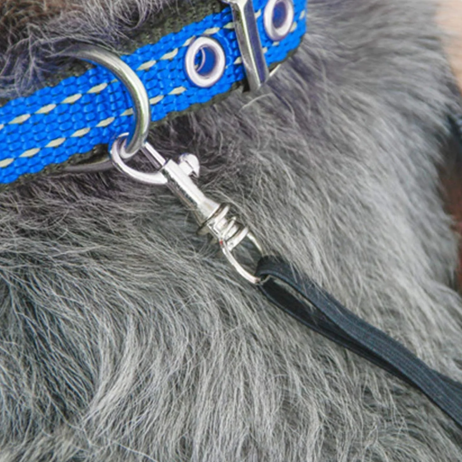 Sac de Transport Mains Libres Pliable pour Animal de Compagnie, pour Animal Domestique,en Maille Respirante, pour Petits Chiens et Chats