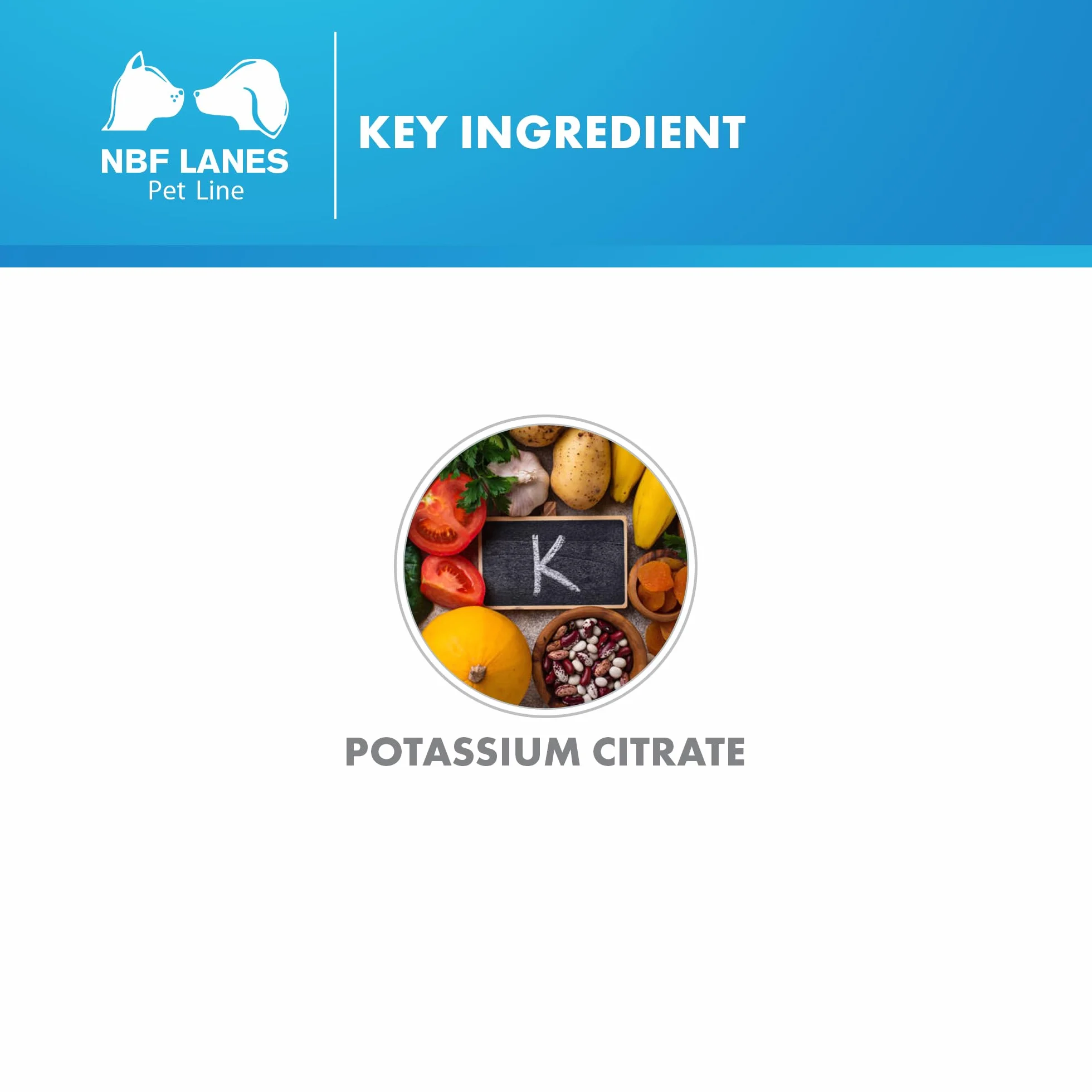Karenal Pet Chien et Chat Pâtes Appétissantes 30 g pour Carence en Potassium Hypokaliémie