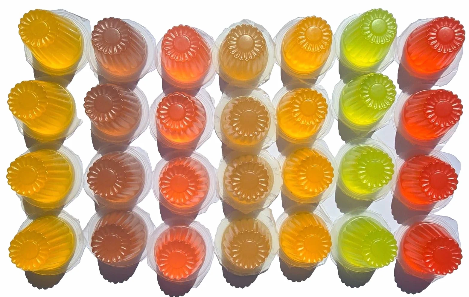 Lot de 25 friandises en gelée de fruits pour reptiles et oiseaux – Mélange yaourt orange miel