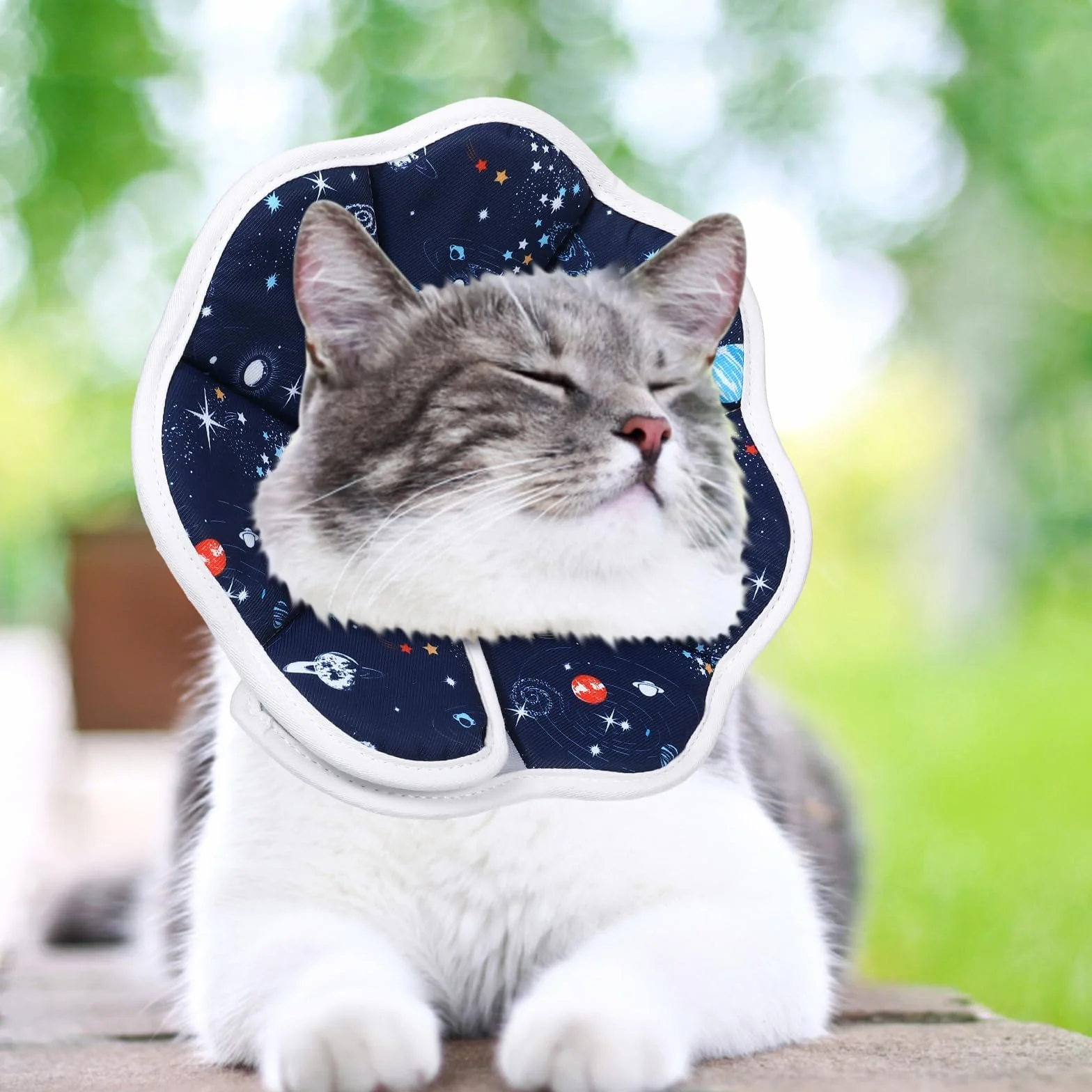 JunD Collier de Récupération Souple Chat, Collerette Post-Opératoire Réglable, Tour de Cou Chat Souple Respirant Imperméable Lavable