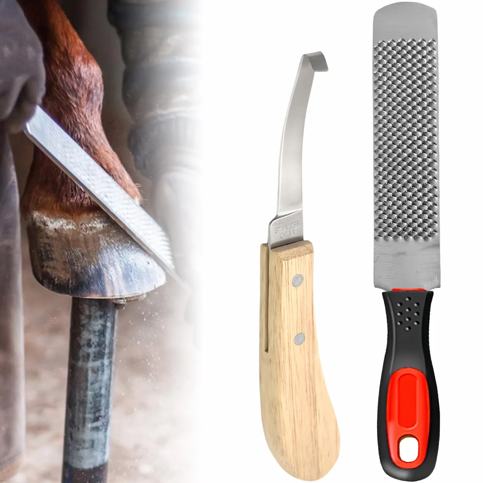 Lime À Sabots Cheval 8 Pouces, Râpe Sabot Acier Au Carbone, Outils Maréchal-Ferrant Double Face