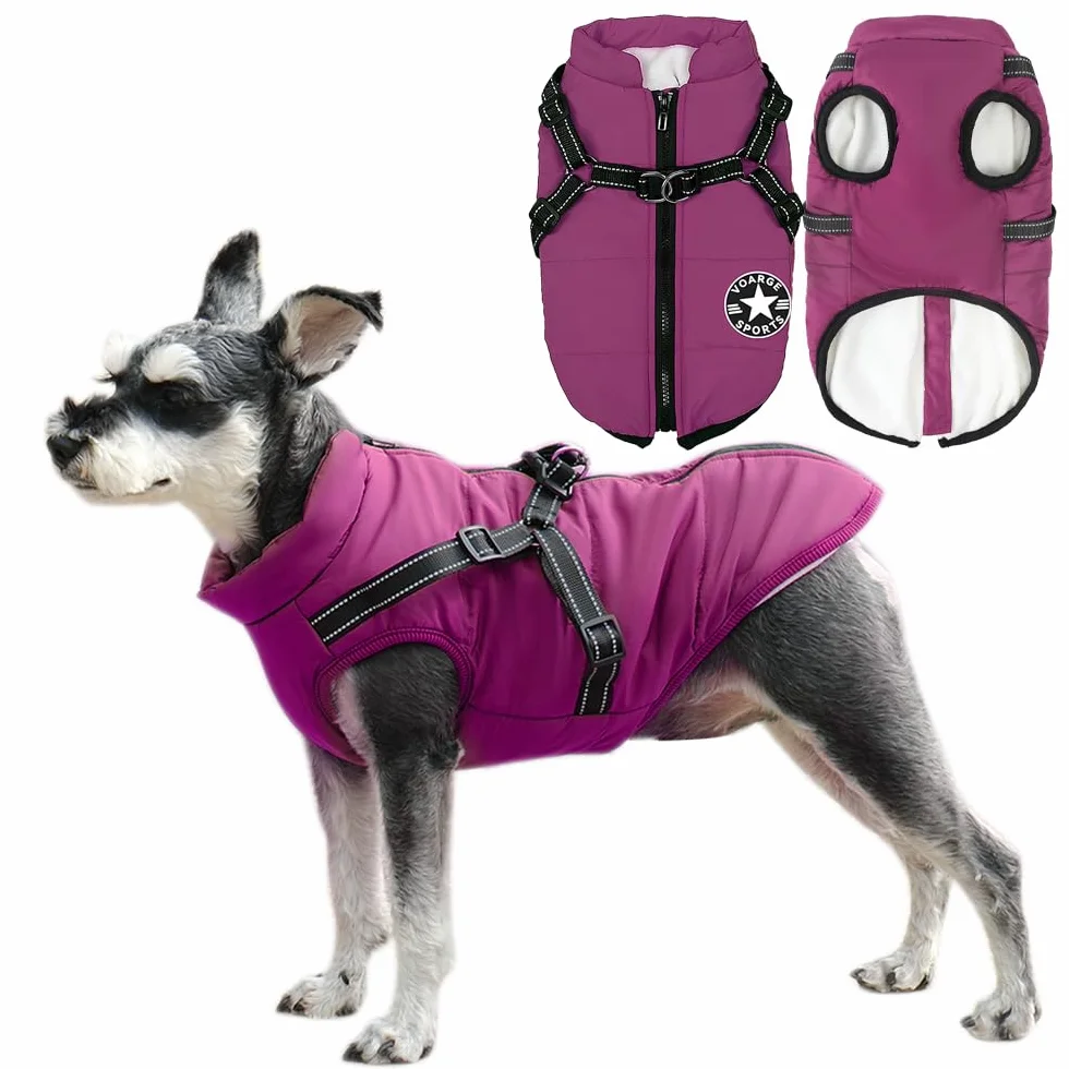 Manteau d'hiver imperméable pour chien avec harnais, bandes réfléchissantes, anneau en D durable, Violet 2XL