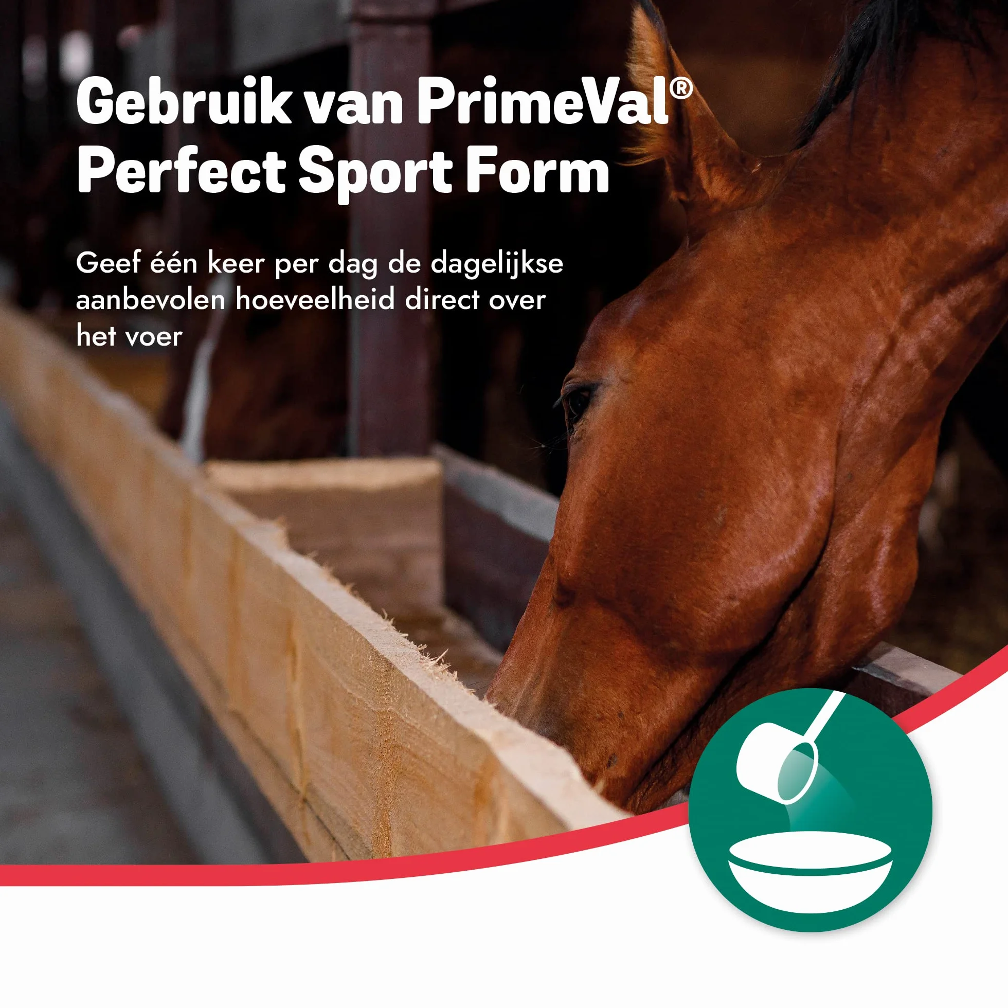 PRIMEVAL Perfect Form complément alimentaire cheval prébiotiques 1kg
