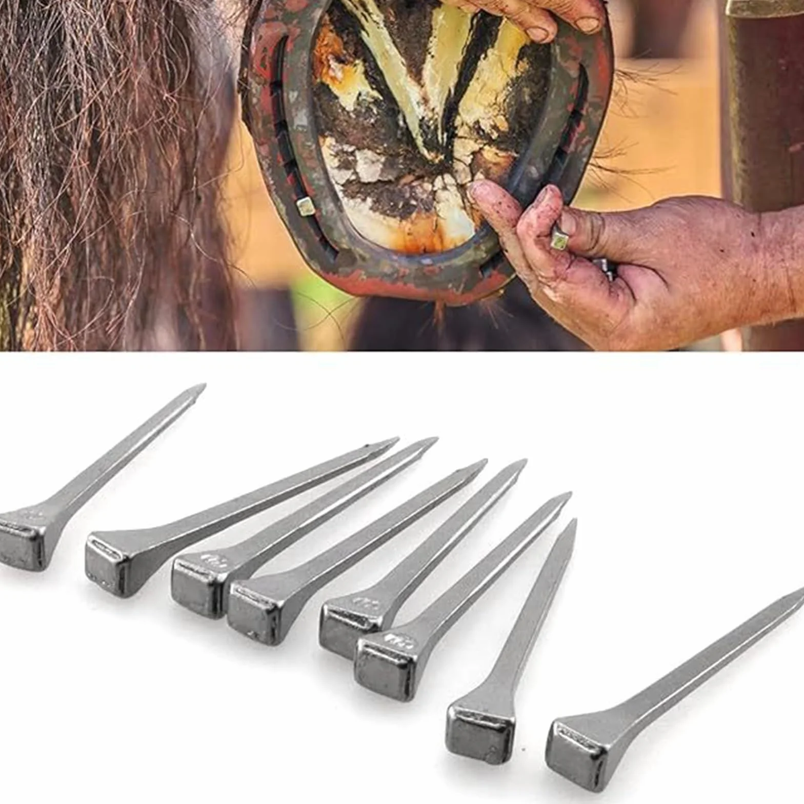 Clous en Fer À Cheval en Acier de Haute Qualité, Accessoires Résistants à l'Usure