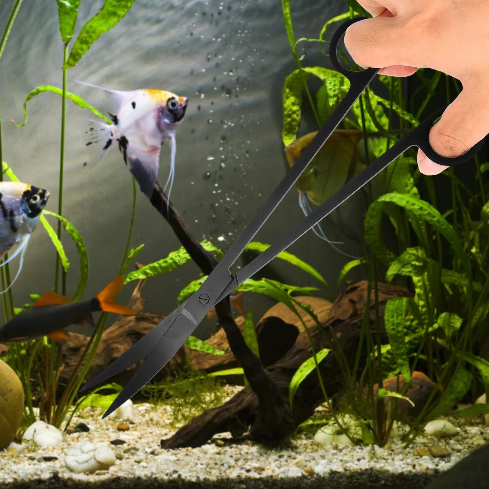 Kit de démarrage pour terrarium aquarium 4 en 1 en acier inoxydable - Pince à épiler longue, ciseaux et spatules