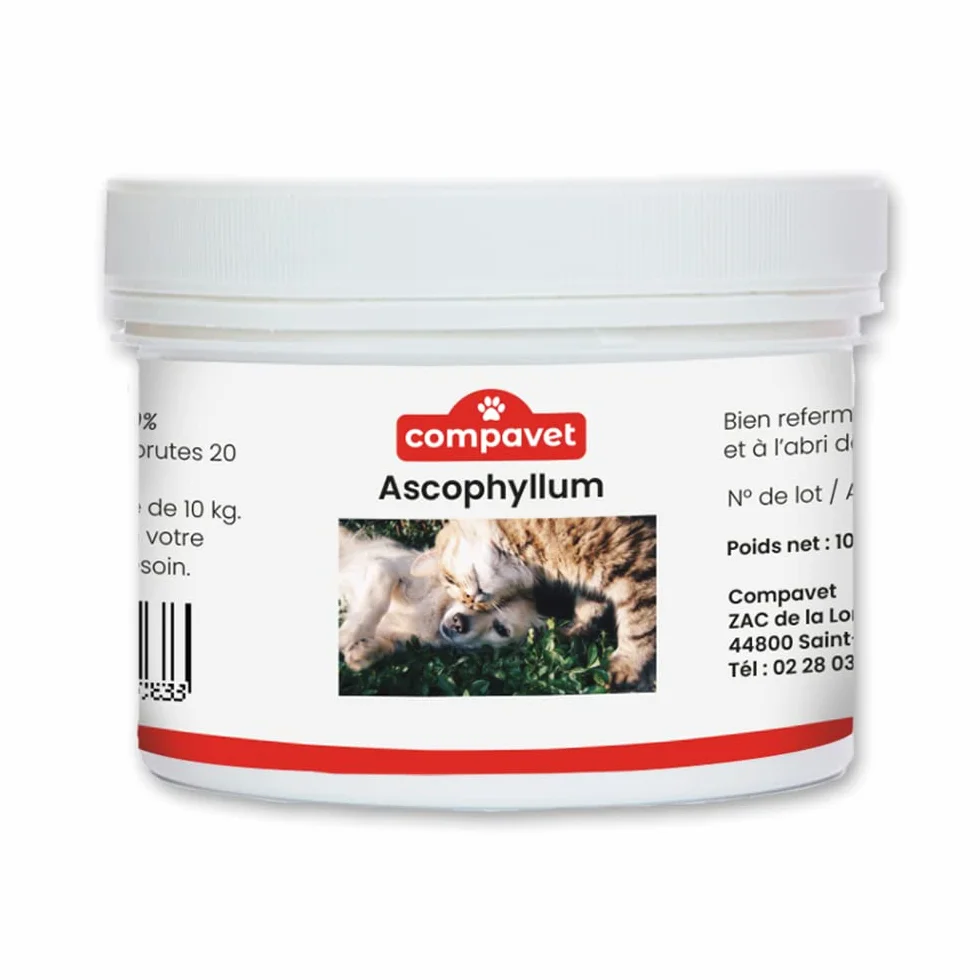 Ascophyllum nodosum en Poudre pour Chiens et Chats - Hygiène bucco-Dentaire - Pot 100 g - Développé en France