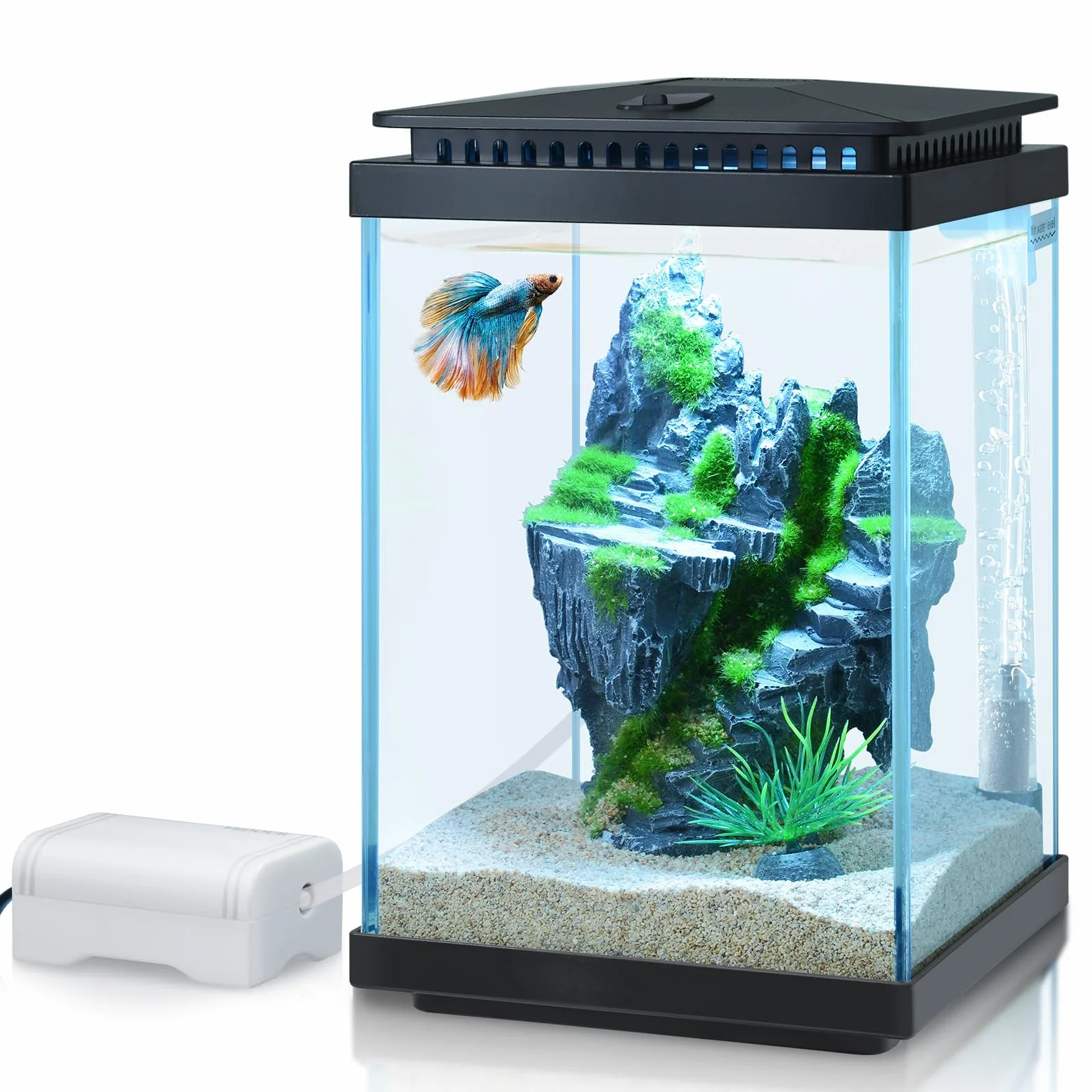 Kit Aquarium en Verre 4L, Réservoir Betta avec Pompe à Air et LumièRe LED