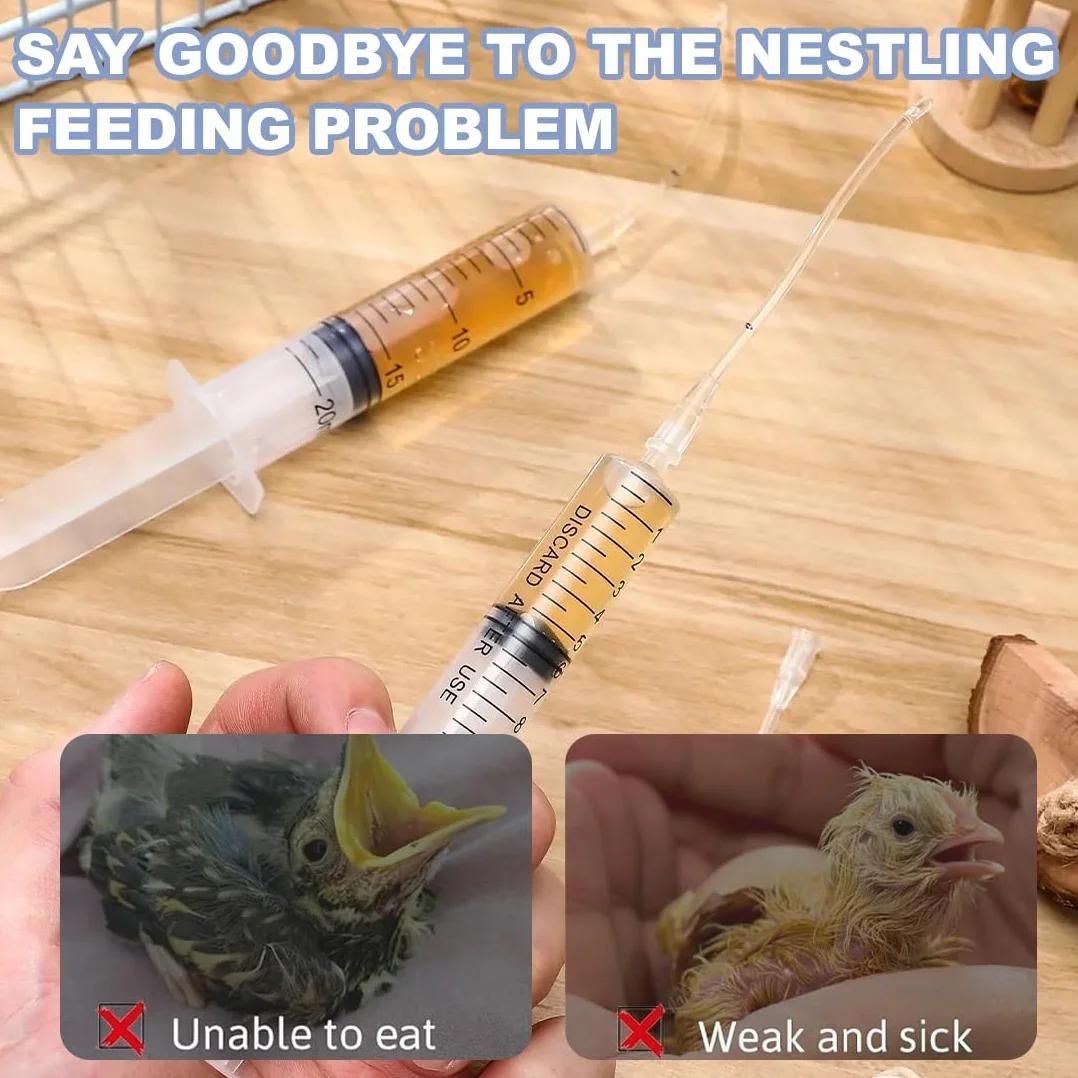 Seringue d'Alimentation pour Bébé Oiseau et Perroquet, 10 Pièces, Nourrir Animaux de Compagnie