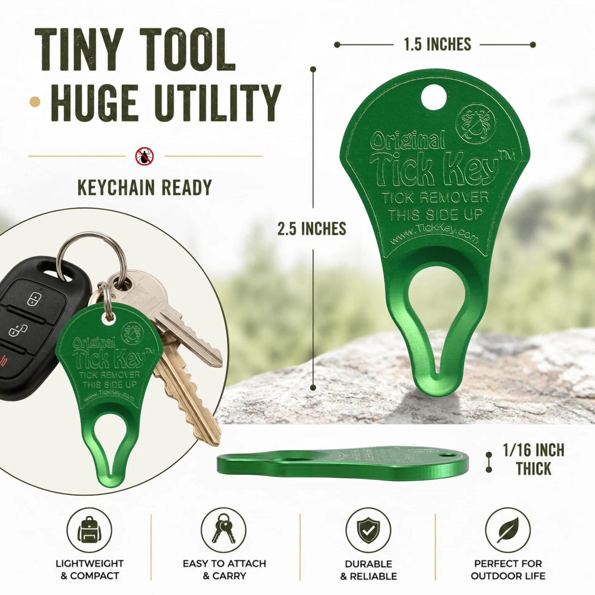 Tick Key Outil en Forme de clé pour enlever Les tiques