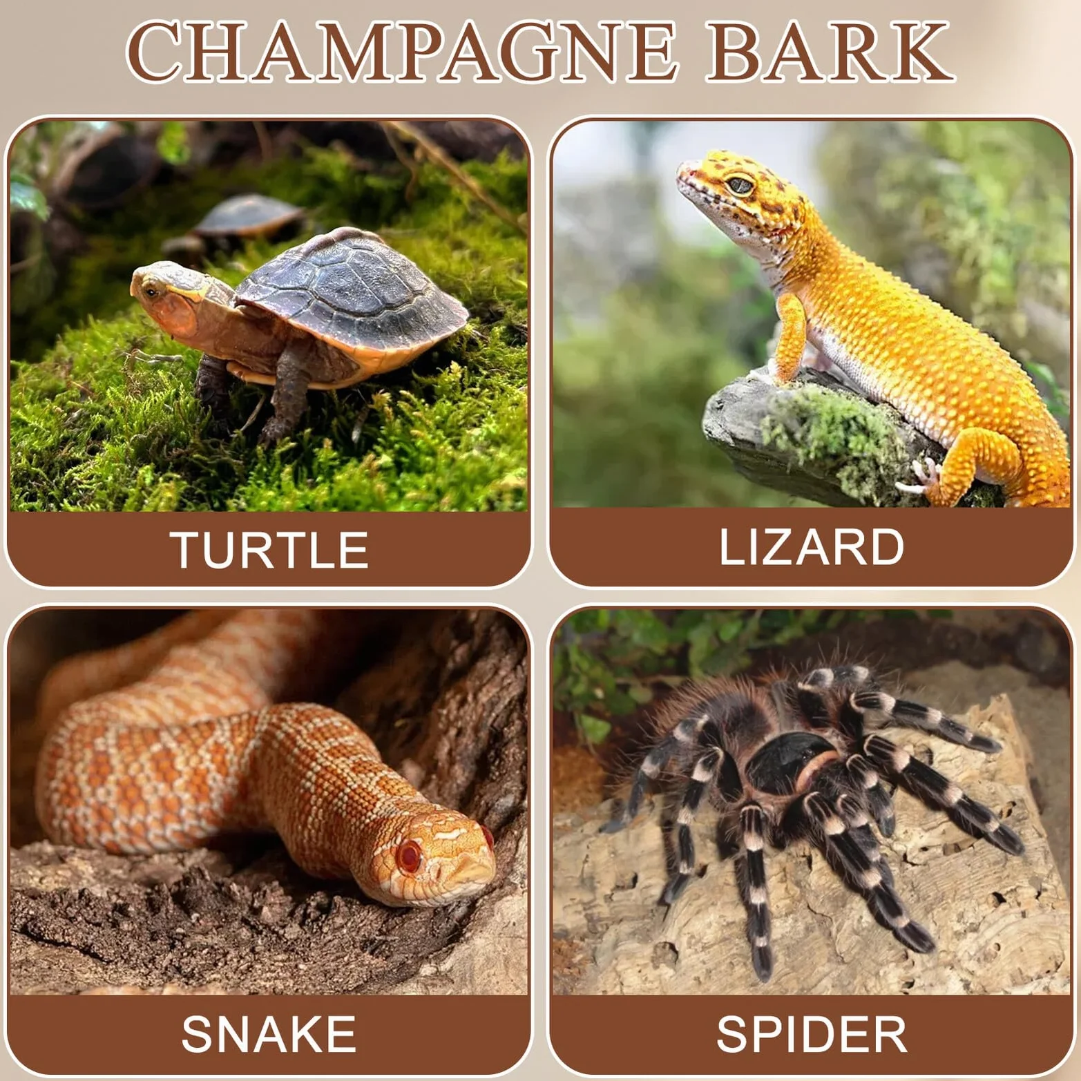 Lot de 4 plateformes d'escalade en bois naturel pour reptiles et tortues - Écorce d'arbre taille moyenne