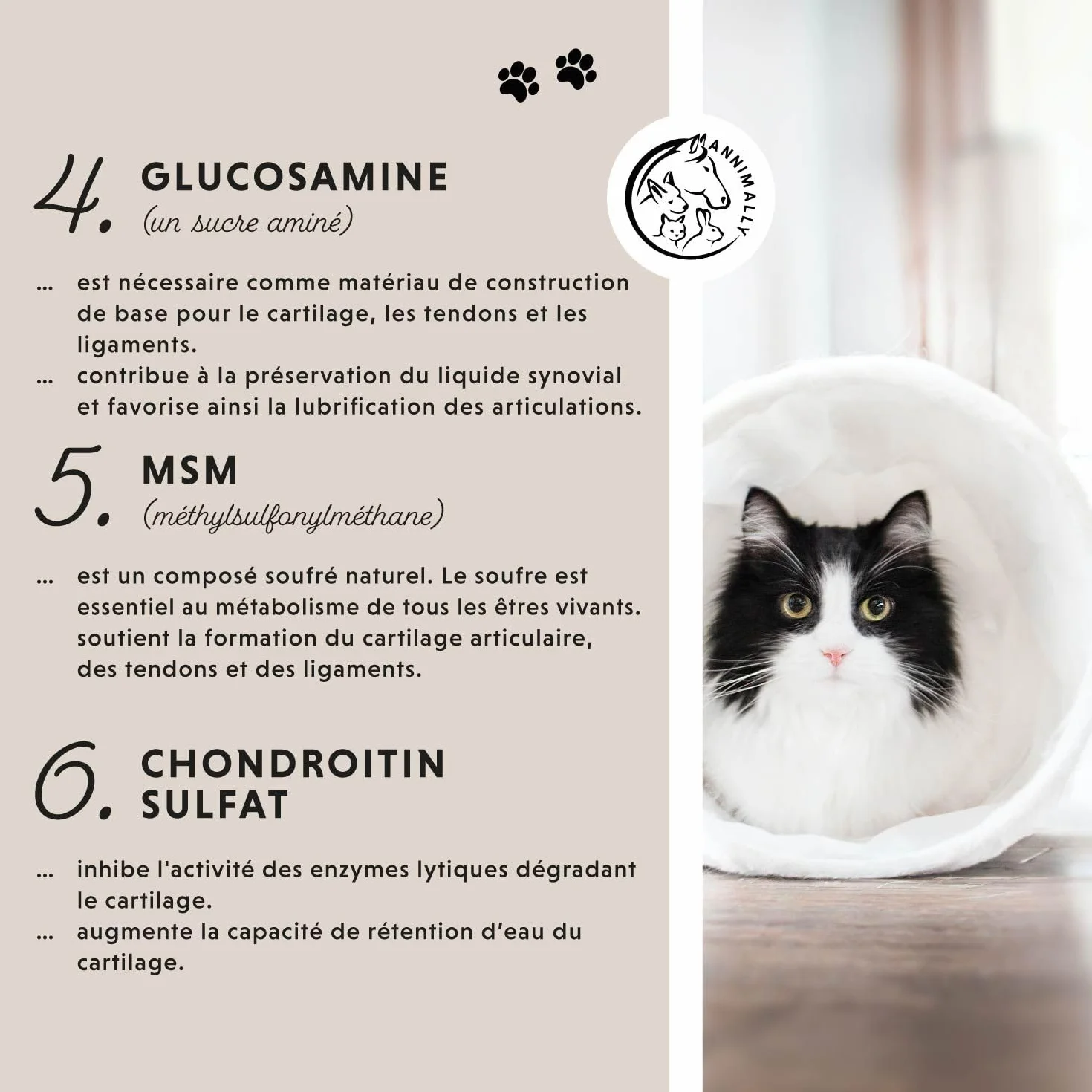 Annimally Poudre pour les Articulations pour Chats 120g – Complément Articulaire avec Moule Verte, MSM, Griffe du Diable, Taurine, Glucosamine