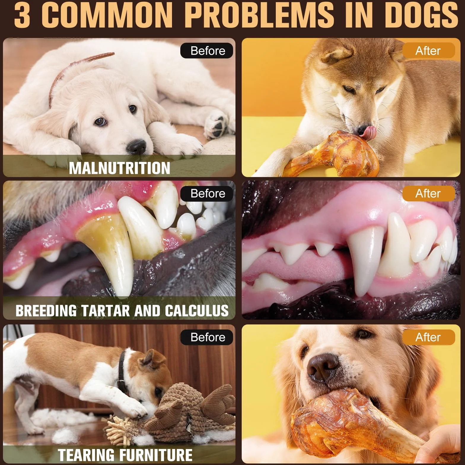 Bœuf Os à Mâcher pour Chien Riche en Protéines Et Calcium, Côte de Bison naturels et sains pour Chiens, Friandises Mastication pour Petits, Moyens et Gros Chiens (S, Poisson)