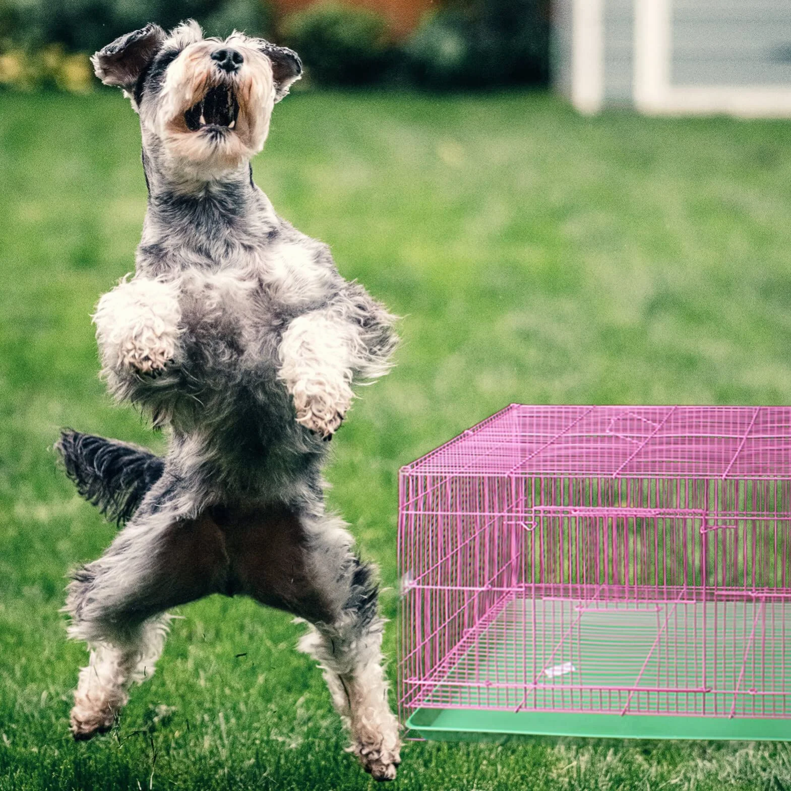 ULTECHNOVO Plateau de Remplacement en Plastique Vert pour Cage d'animaux, Résistant aux Marques la Rouille, Adapté pour Litière et Accessoires pour Animaux Domestiques