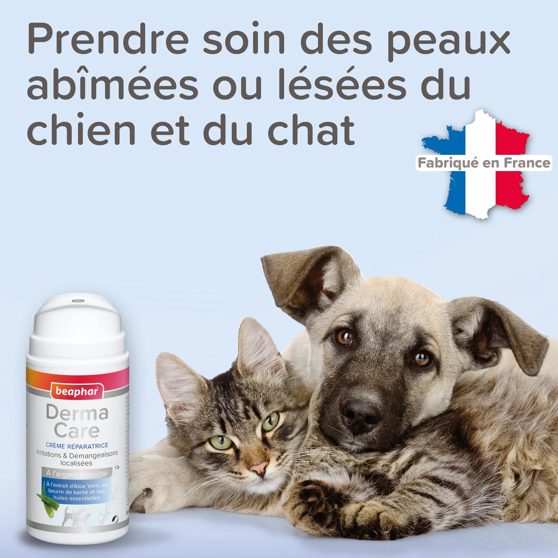 BEAPHAR DERMACARE Crème Réparatrice pour Chien et Chat Argent Colloïdal Aloe Vera Beurre de Karité 100ml