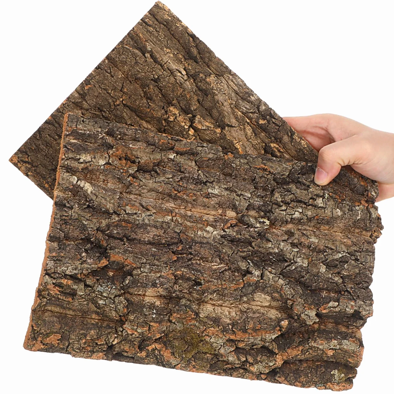 DOITOOL Lot de 2 terrariums en liège 30 cm Écorce Reptile Décoration Terrarium Tapis escalade Reptile Dragon lézard Geckos araignée Tortue