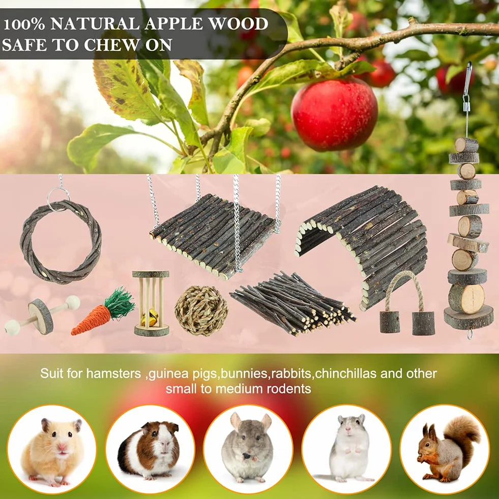 Jouets à mâcher pour Hamster en Bois de Pomme, Échelle, Cloche, Rouleau pour Petits Animaux