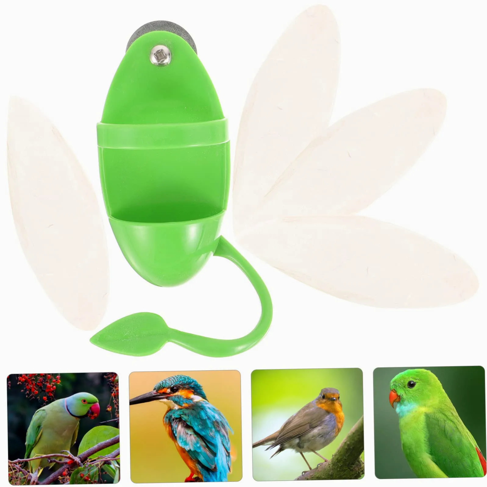 Mipcase 5ensembles Mangeoire Suspendue pour Oiseaux avec Support De Seiche Accessoire Pratique pour Perroquets Perruches Et Autres Oiseaux pour Fruits Et Légumes