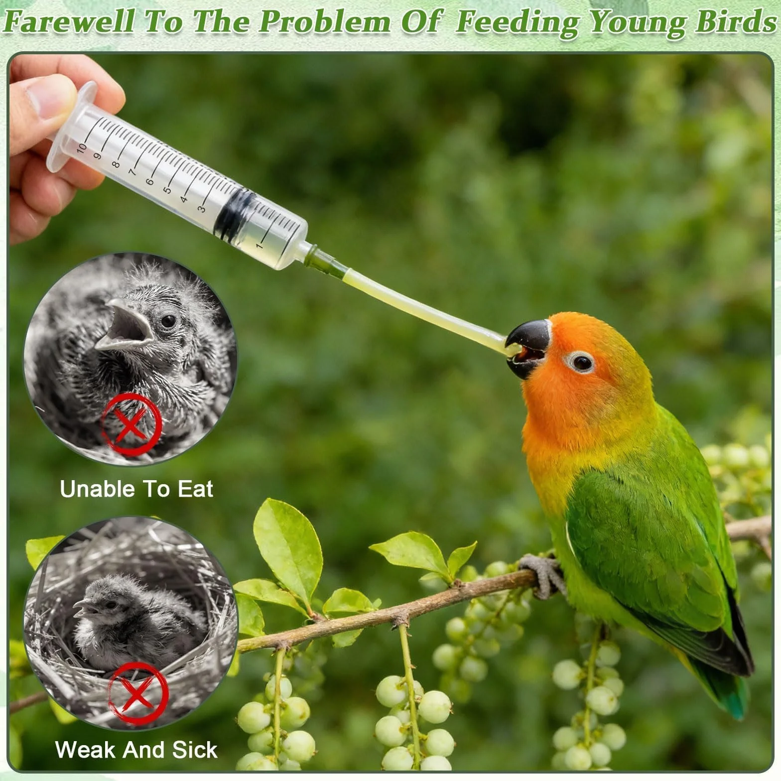 Seringue avec Tuyau d'Alimentation 10ml pour Jeunes Oiseaux Perroquets