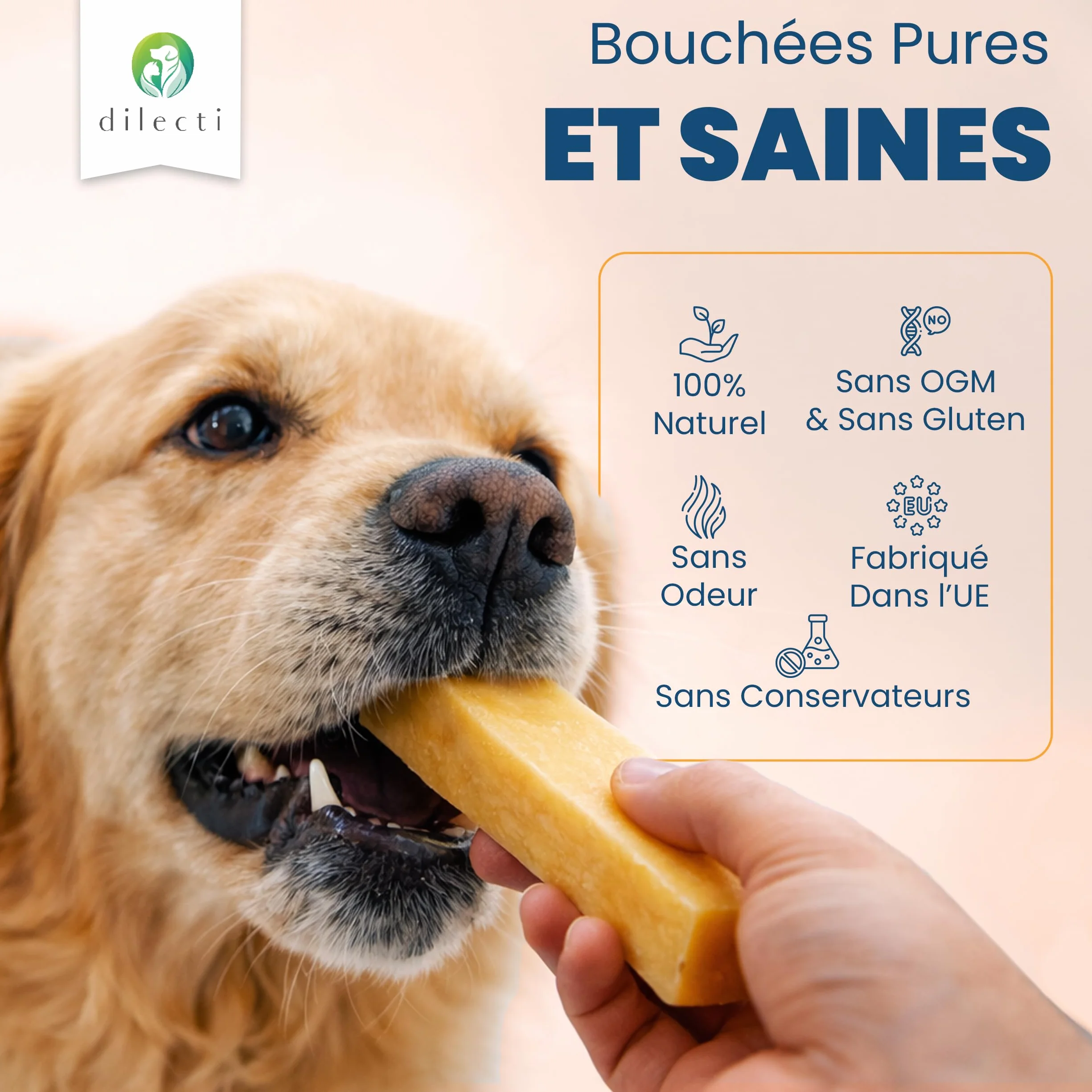 Dilecti Os au Fromage Naturel pour Chiens Friandises à Mâcher Taille L Lot de 3