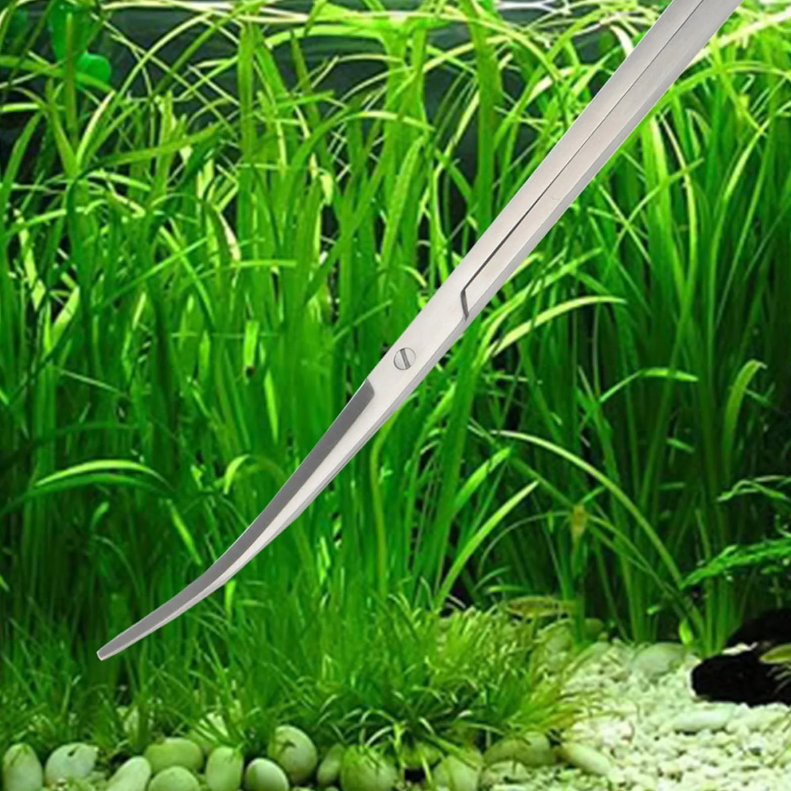 Aquarium Aquascaping Kit 4 en 1 Acier Inoxydable Ciseaux Pince Spatule Outils pour Plante Aquatique