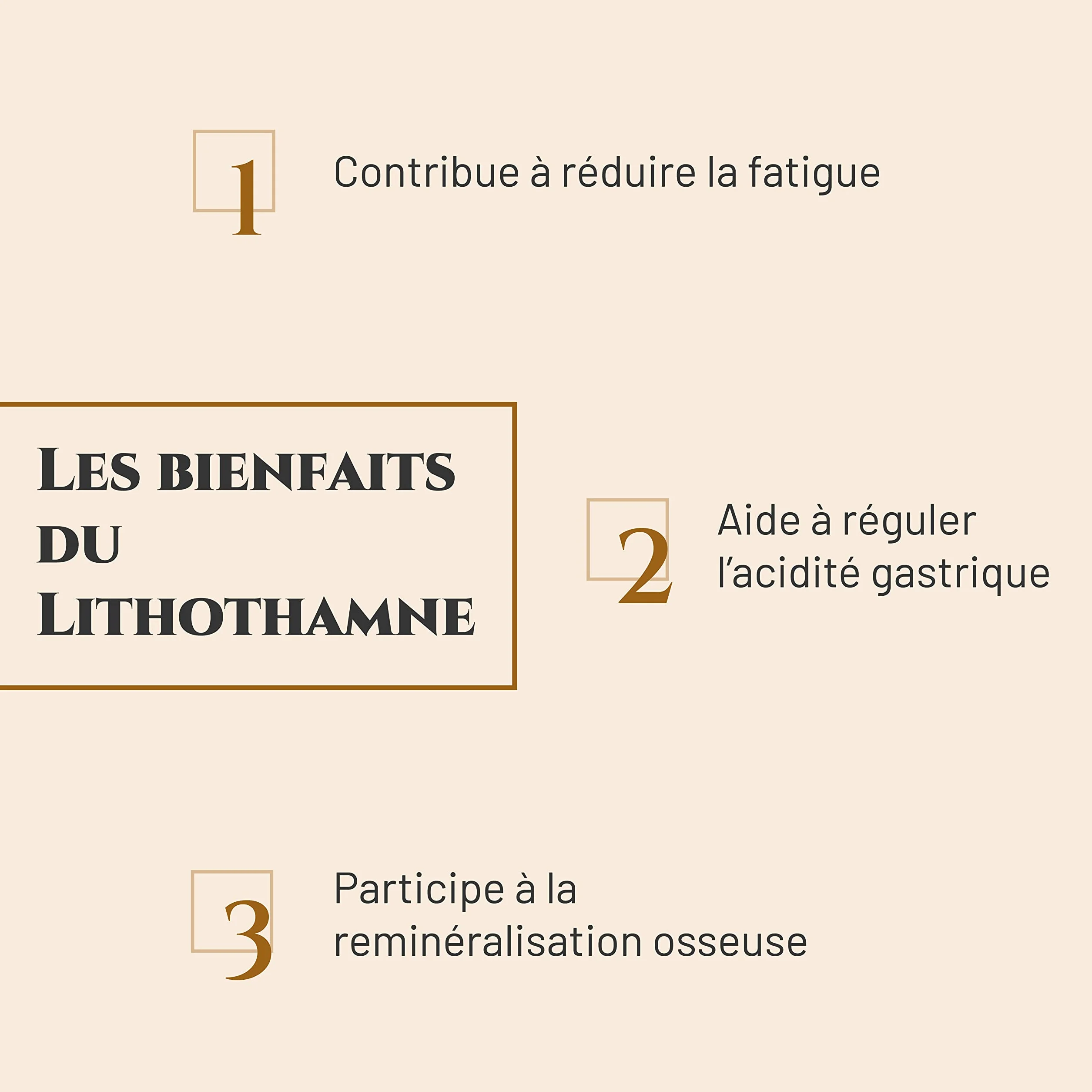 LITHOTHAMNE Complément nutritionnel Cheval Seau 1 kg Calcium Naturel Aide réguler acidité gastrique Reminéralisation