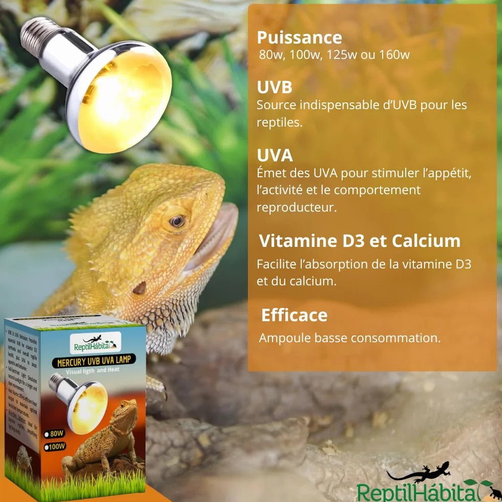 Lampe UVB UVA avec Chaleur pour Reptiles 80W – Lampe à Vapeur de Mercure Tout-en-Un pour Terrariums