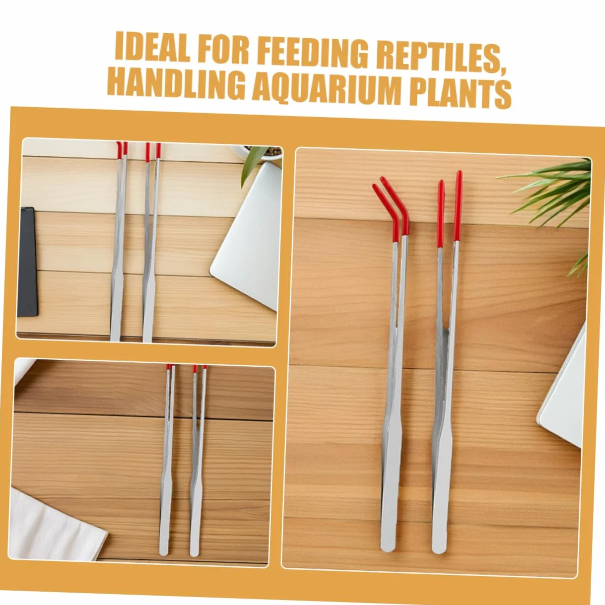 Pinces à Reptiles Acier Inoxydable Pince Droite et Courbée avec Embouts Antidérapants pour Lézards Serpents