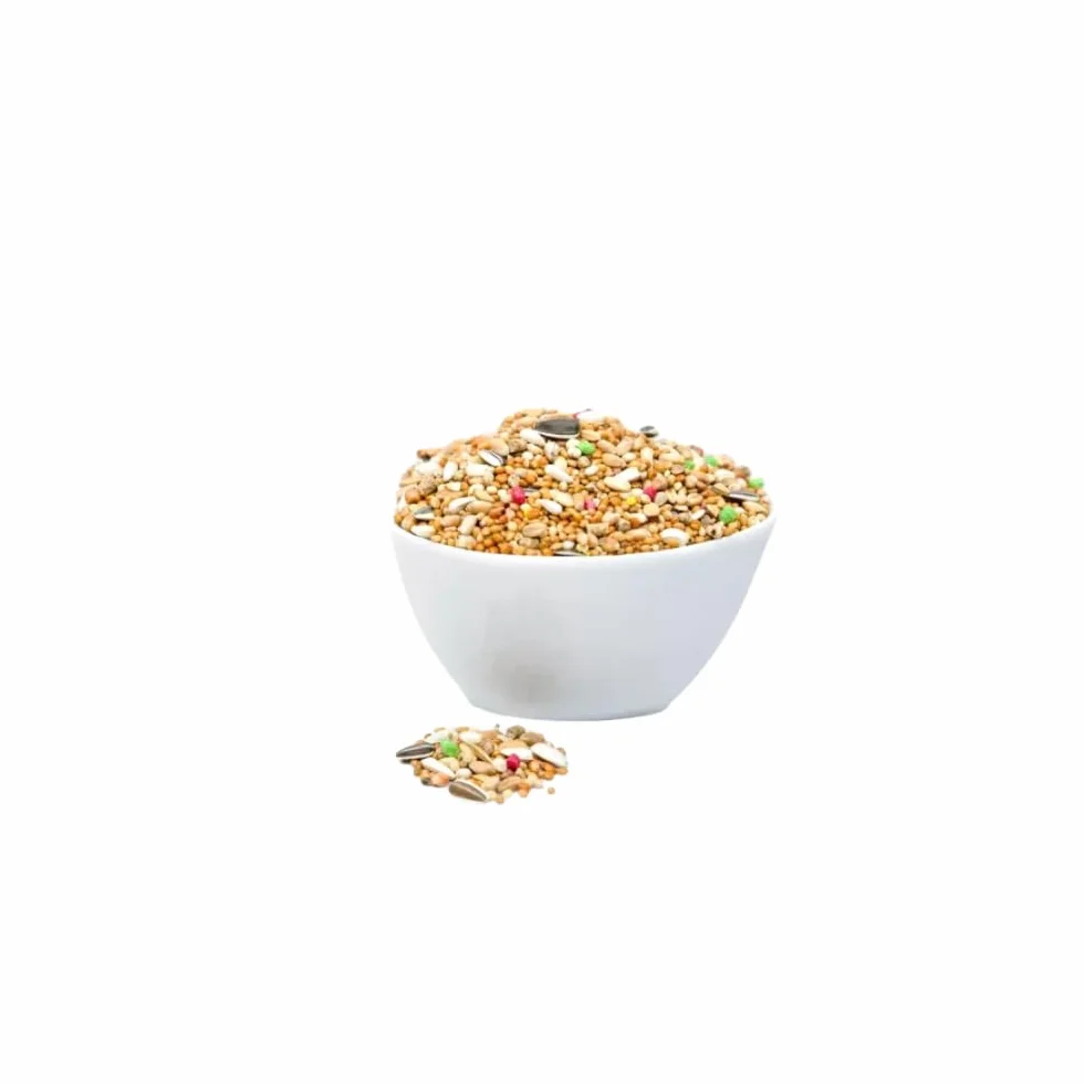Nourriture pour perroquets de taille moyenne 10 kg avec chardon-Marie, carthame, graines de tournesol rayées et blanches