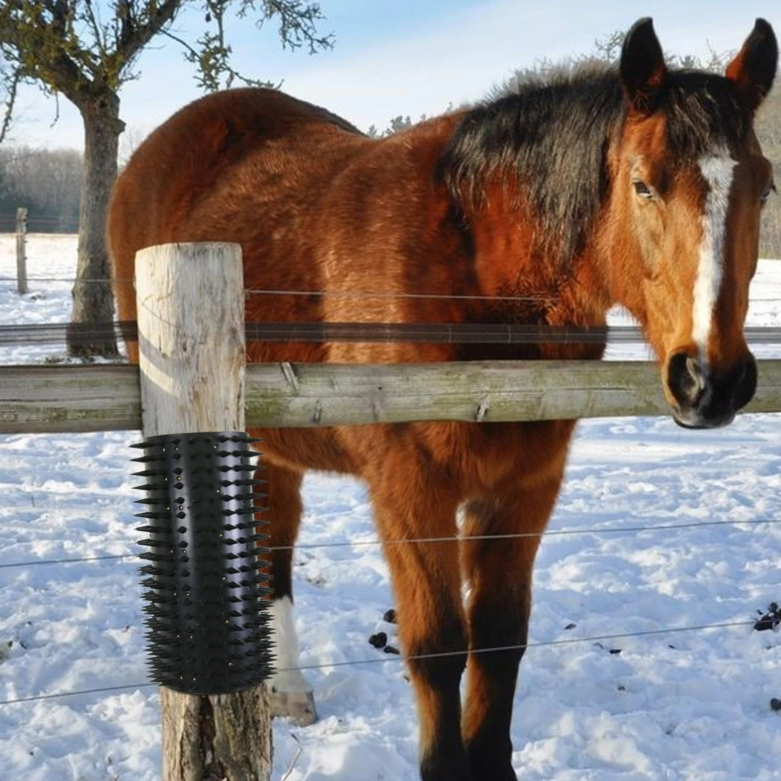 Grattoir pour chevaux et bovins - Brosse de massage complète - Poteau à gratter pour vache, chèvre, bétail, mouton