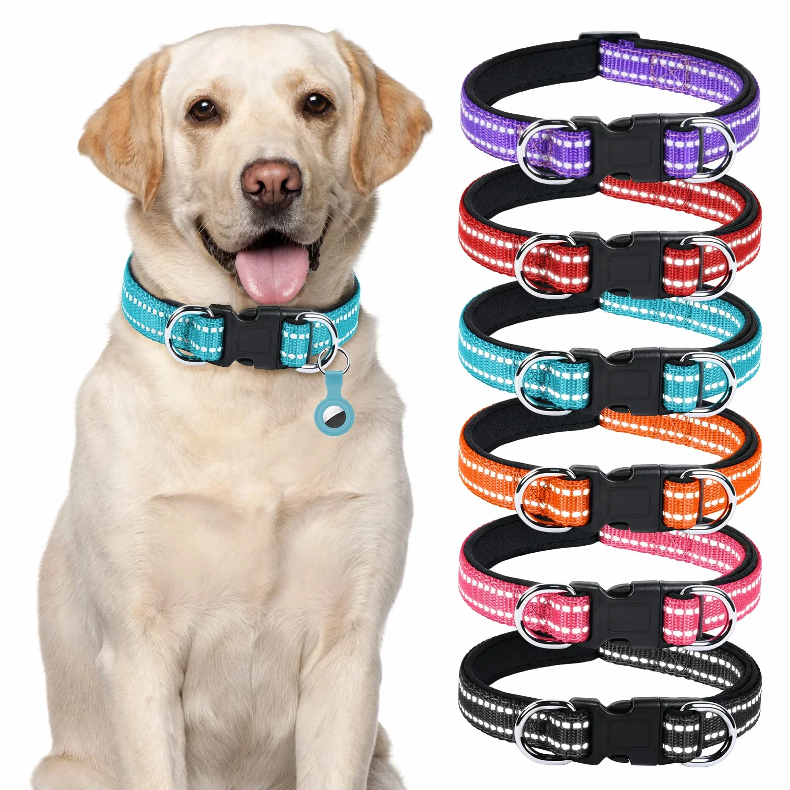 Collier pour Chien Réfléchissant Réglable Nylon avec Étui AirTag pour Petits Chiens, Bleu-S