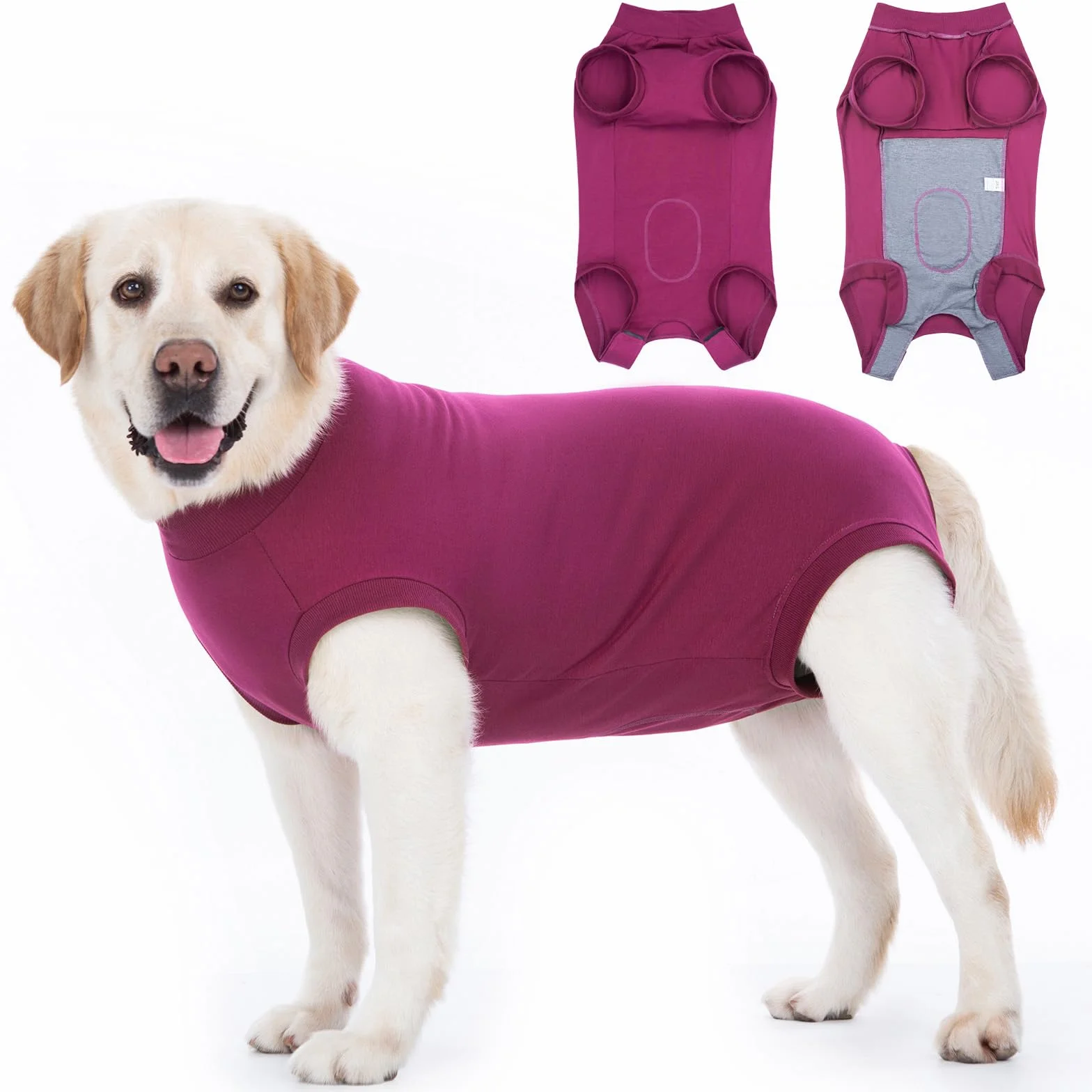 Combinaison de Récupération Chien Post-Opératoire Body Chirurgical pour Chienne Mâle après Stérilisation