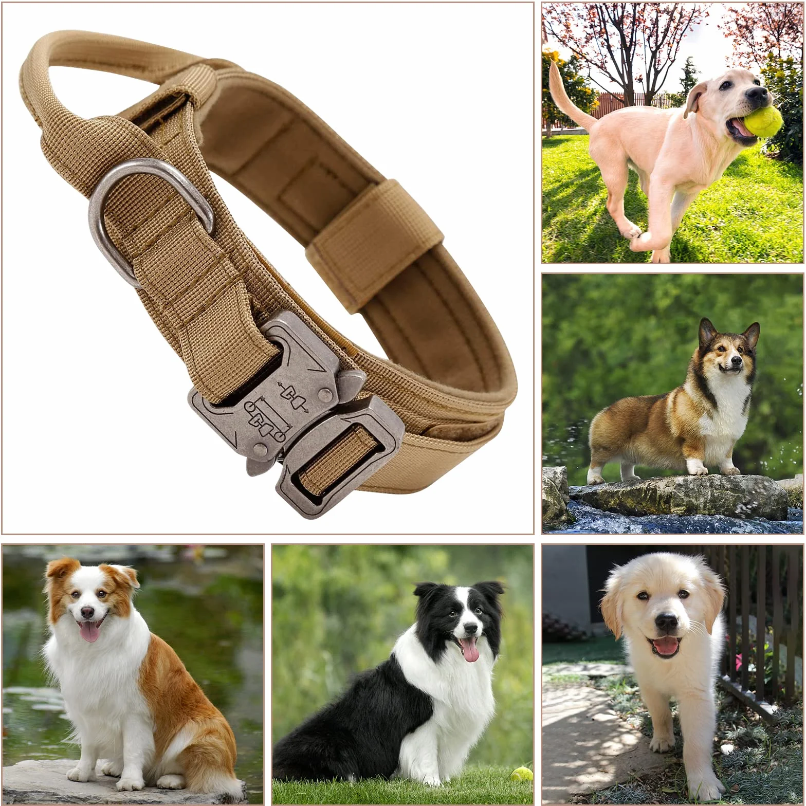 Collier de Chien Tactique Militaire en Nylon Réglable avec Poignée de Commande et Boucle Métal