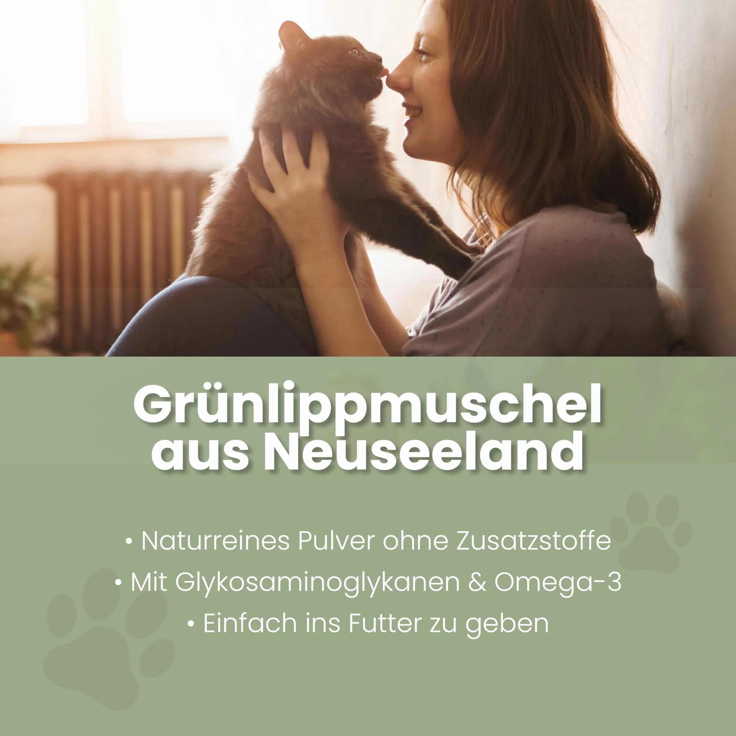 Alphazoo Moule à lèvres vertes pour chat 100 g Poudre articulaire naturelle Nouvelle-Zélande