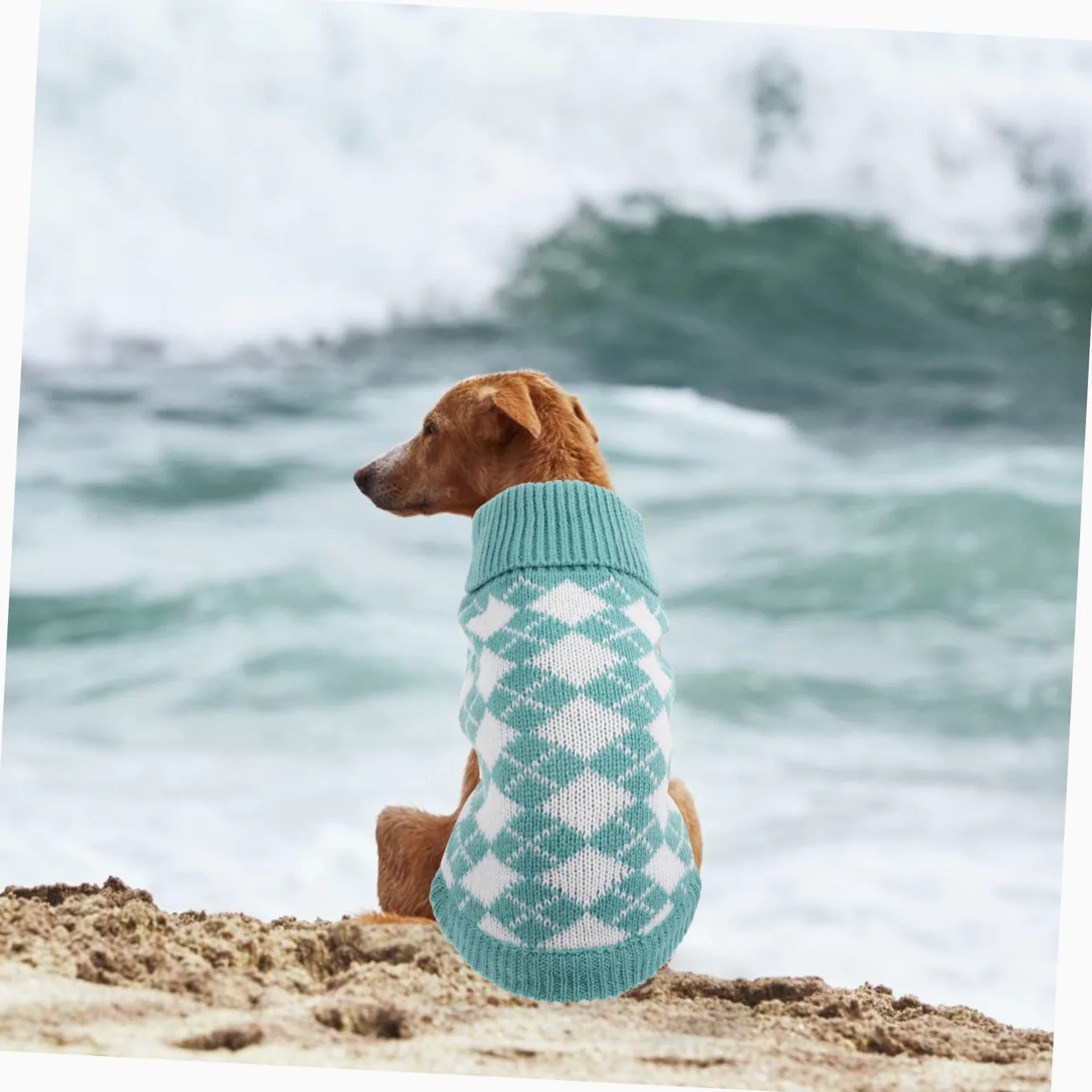 Kisangel 5pièces Pull pour Chien Vêtement Hiver pour Chiens De Pull Chaud à Motifs pour Et Activités Extérieures