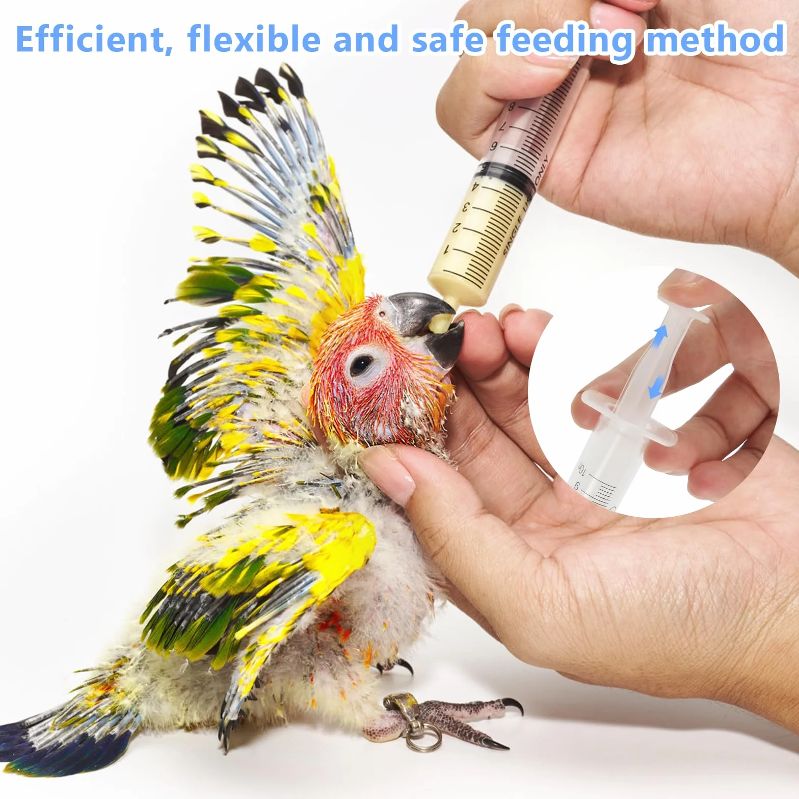 Seringues alimentation manuelle pour jeunes oiseaux - Lot de 5 avec 20 tuyaux
