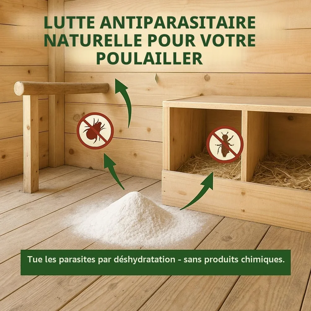 GiDeli Terre de diatomée pour poulets 100% pure non calcinée contre l'acarien rouge 10 kg