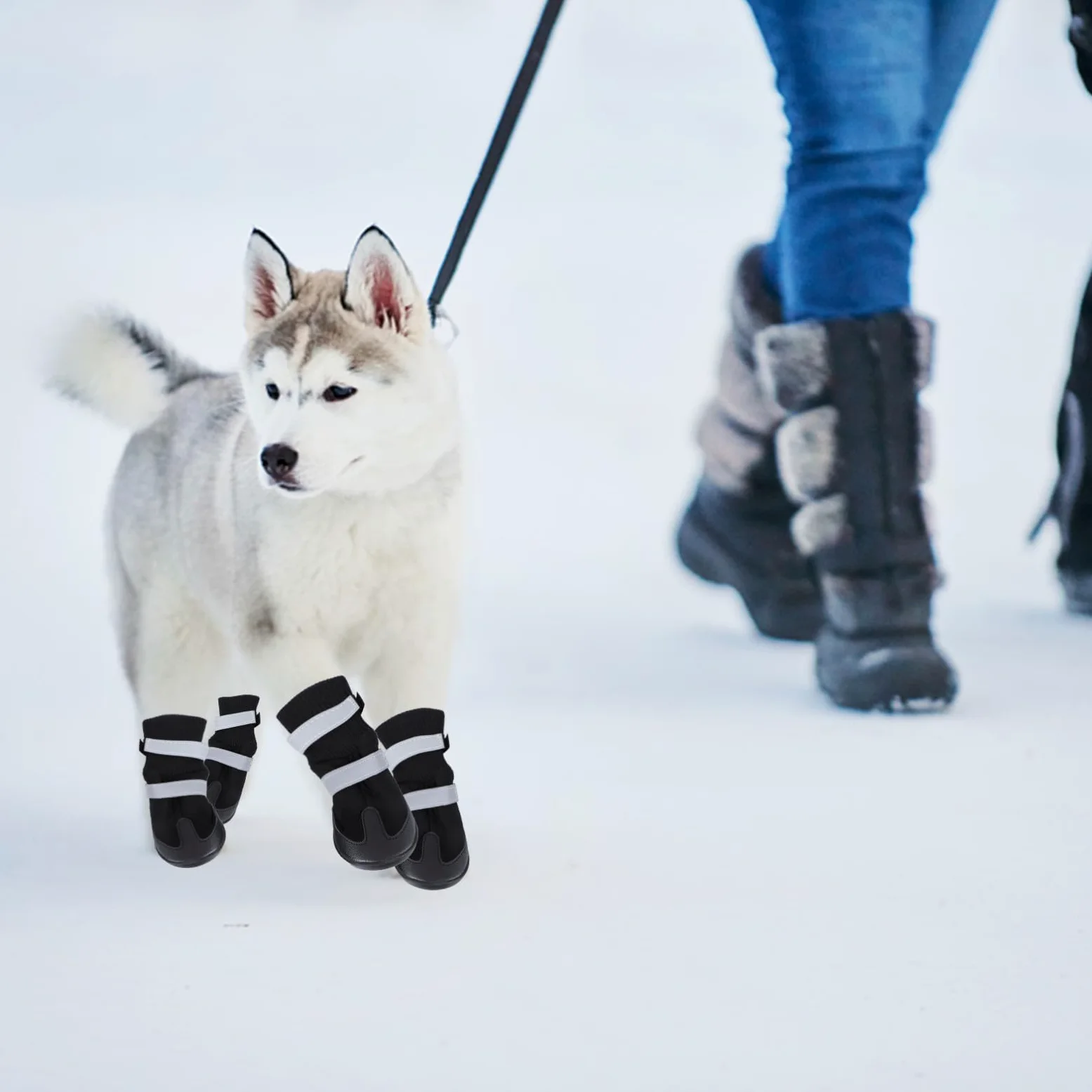 Mipcase 12 Pièces Bottes pour Chien de Compagnie Chien de contrôle de Traction Chaussettes Chaussures pour s de Compagnie Bottes Chaudes pour Chaussures d'hiver pour Black