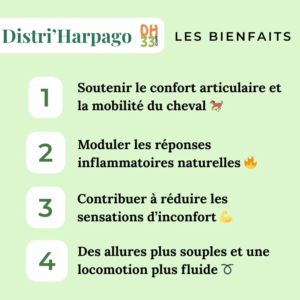 Harpago Cheval Confort Articulaire Arthrose 500 g