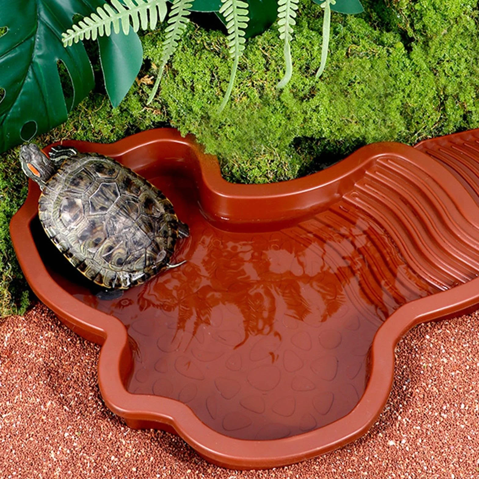 Bassin pour Tortue avec Rampe et Échelle, Plat d'eau pour Reptiles, Mangeoire pour Terrasse
