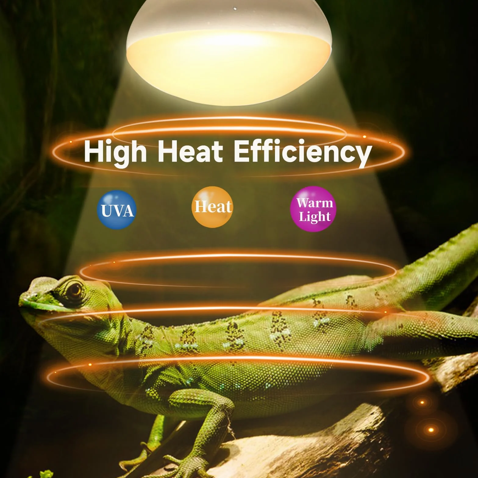 Caldarax Lot de 2 Ampoule Chauffante Reptile 50W AC 220V Basking Spot R80 UVA E27