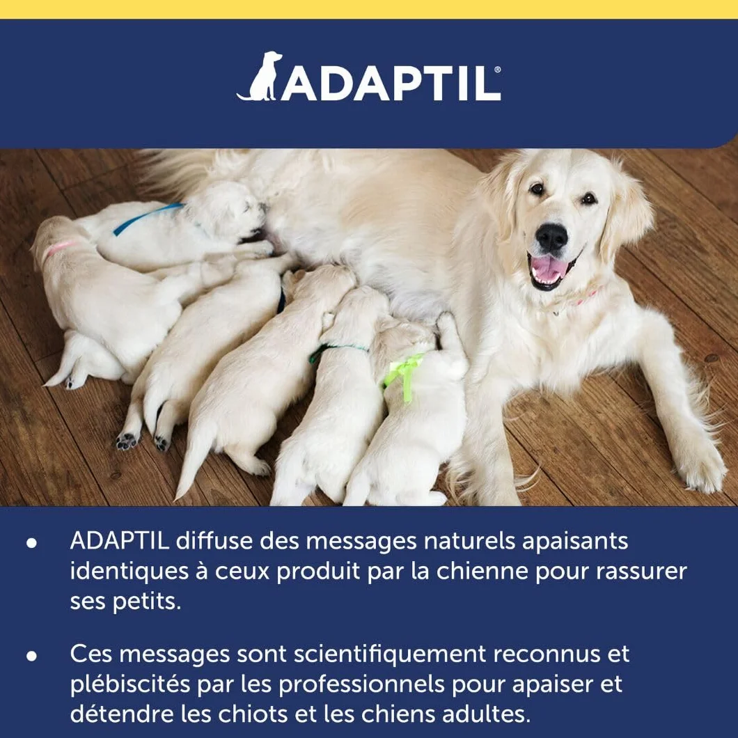 ADAPTIL Transport Spray 20ml Anti-Stress pour Chien