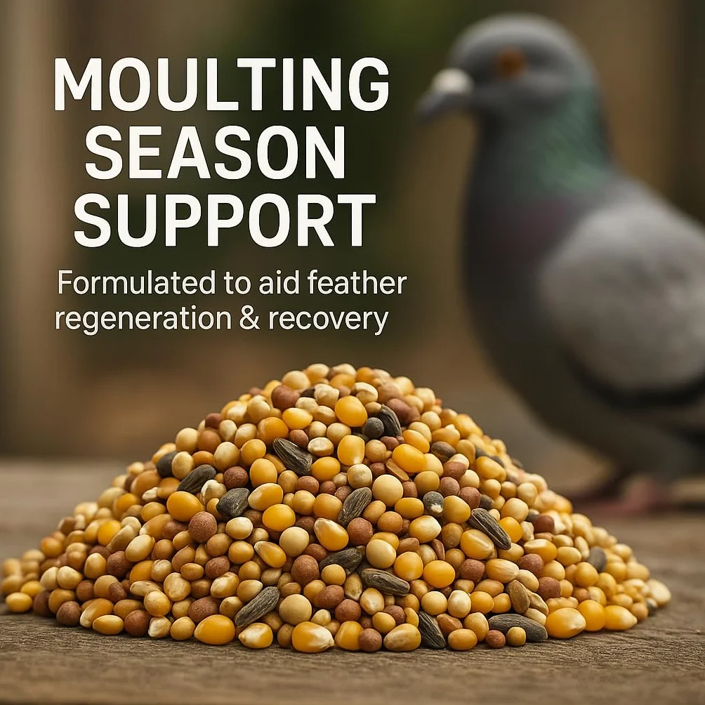 GiDeli Nourriture pour pigeons 5 kg - Mélange protéines graines oléagineuses céréales élevage sport