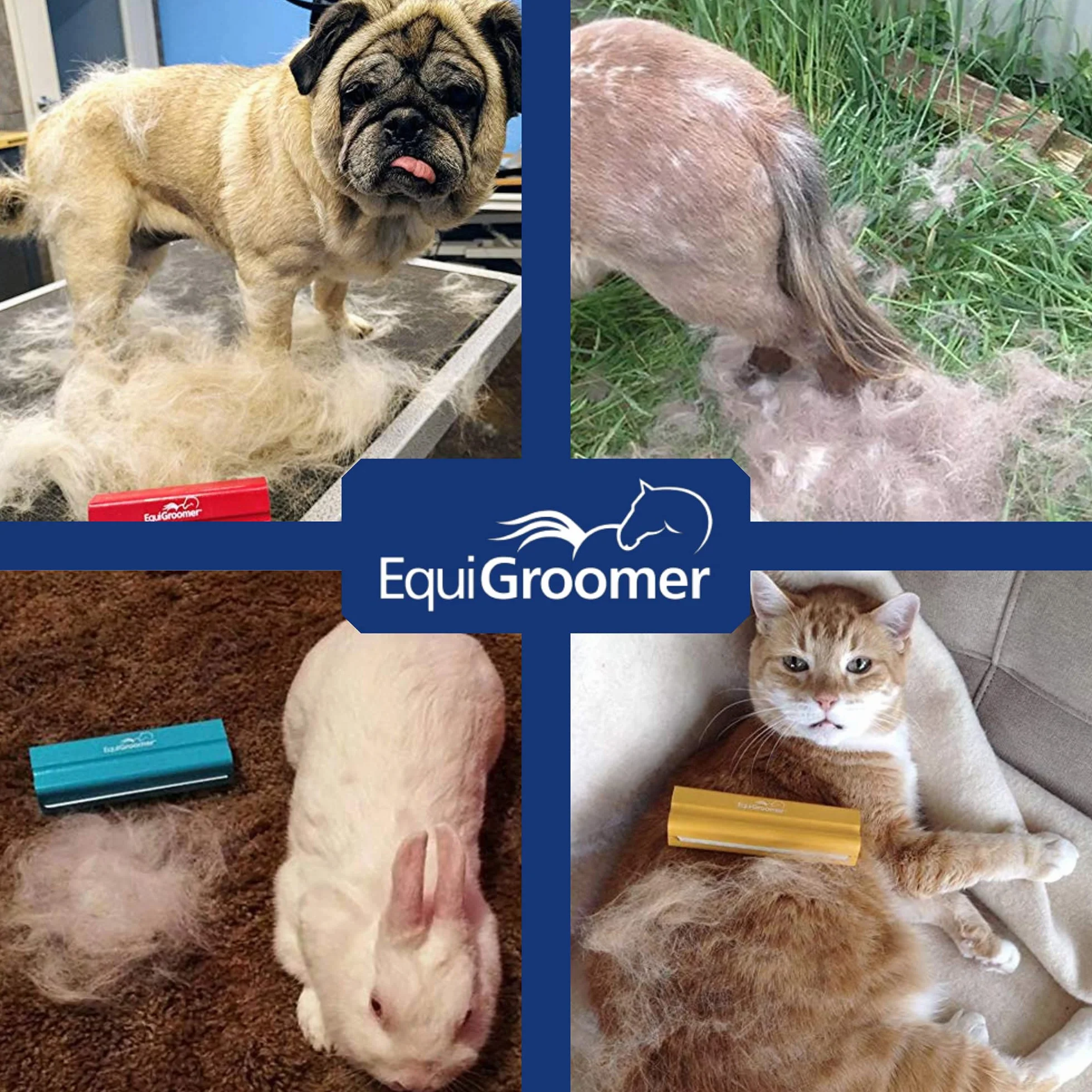 EquiGroomer EasyGroomer Brosse de toilettage pour chiens et chats, outil sous-poil, élimine saletés et poils morts, Vert citron